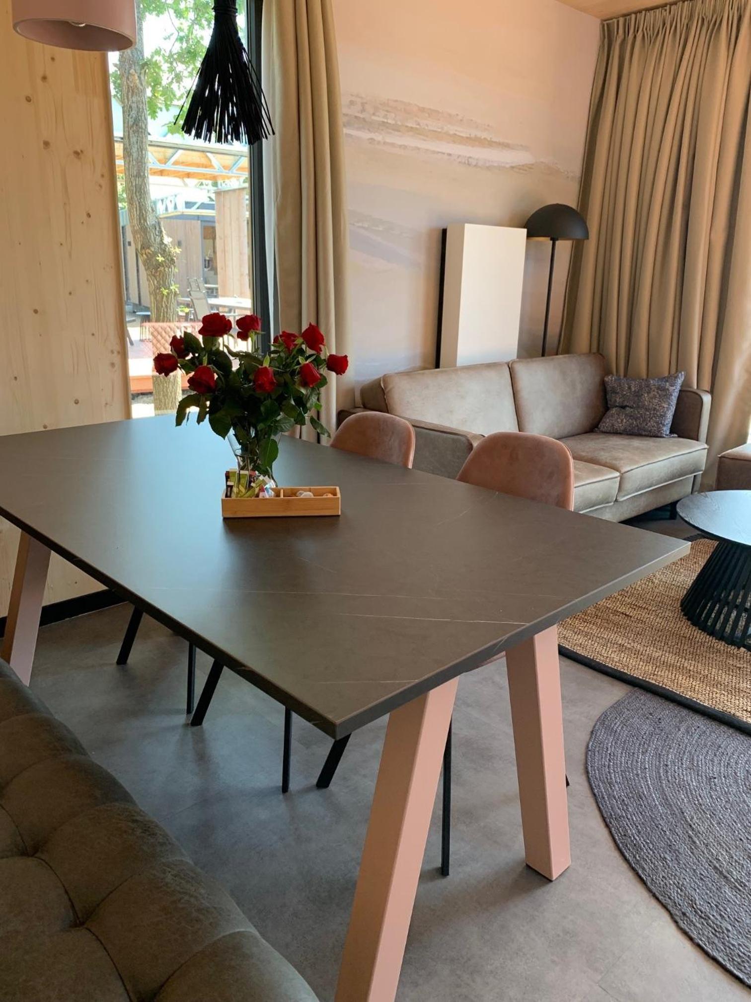 Luxe vakantielodge in Callantsoog aan zee view 3