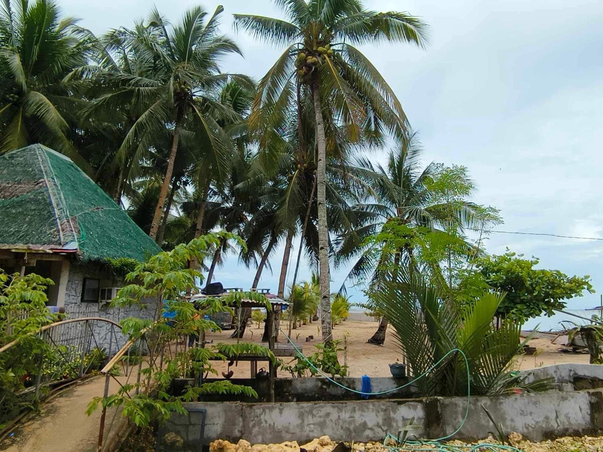 Tiliponan Nipa Hut view 2