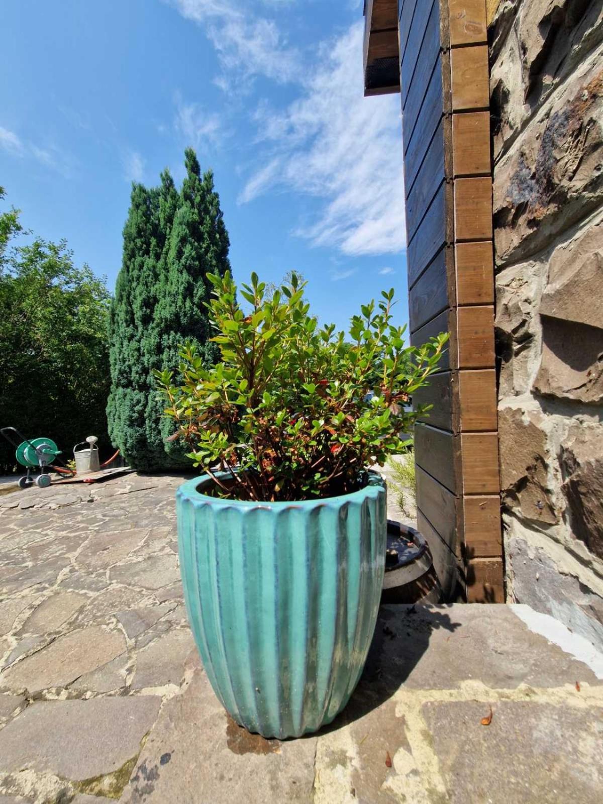 Bényécske Chill & Spa view 4