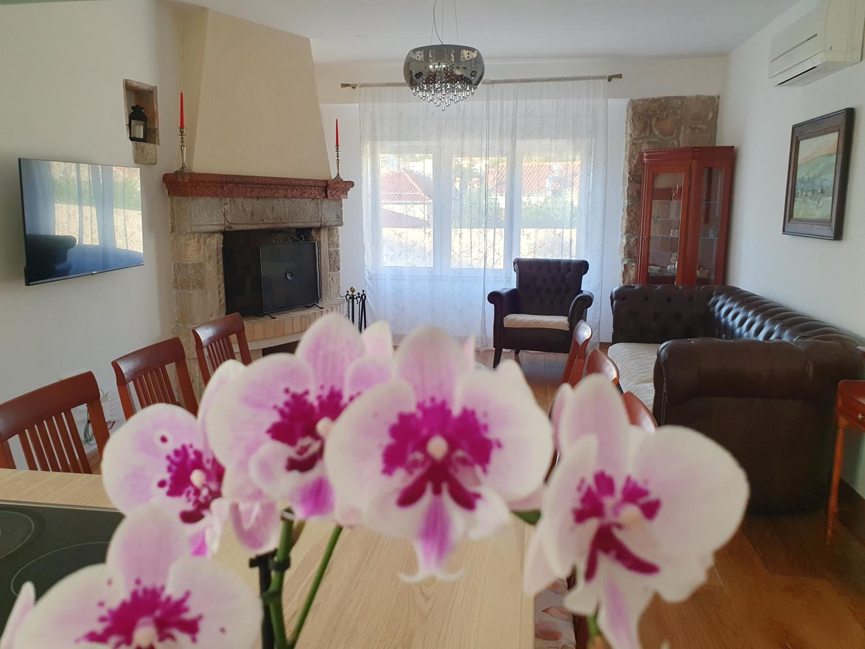 Apartment NINA