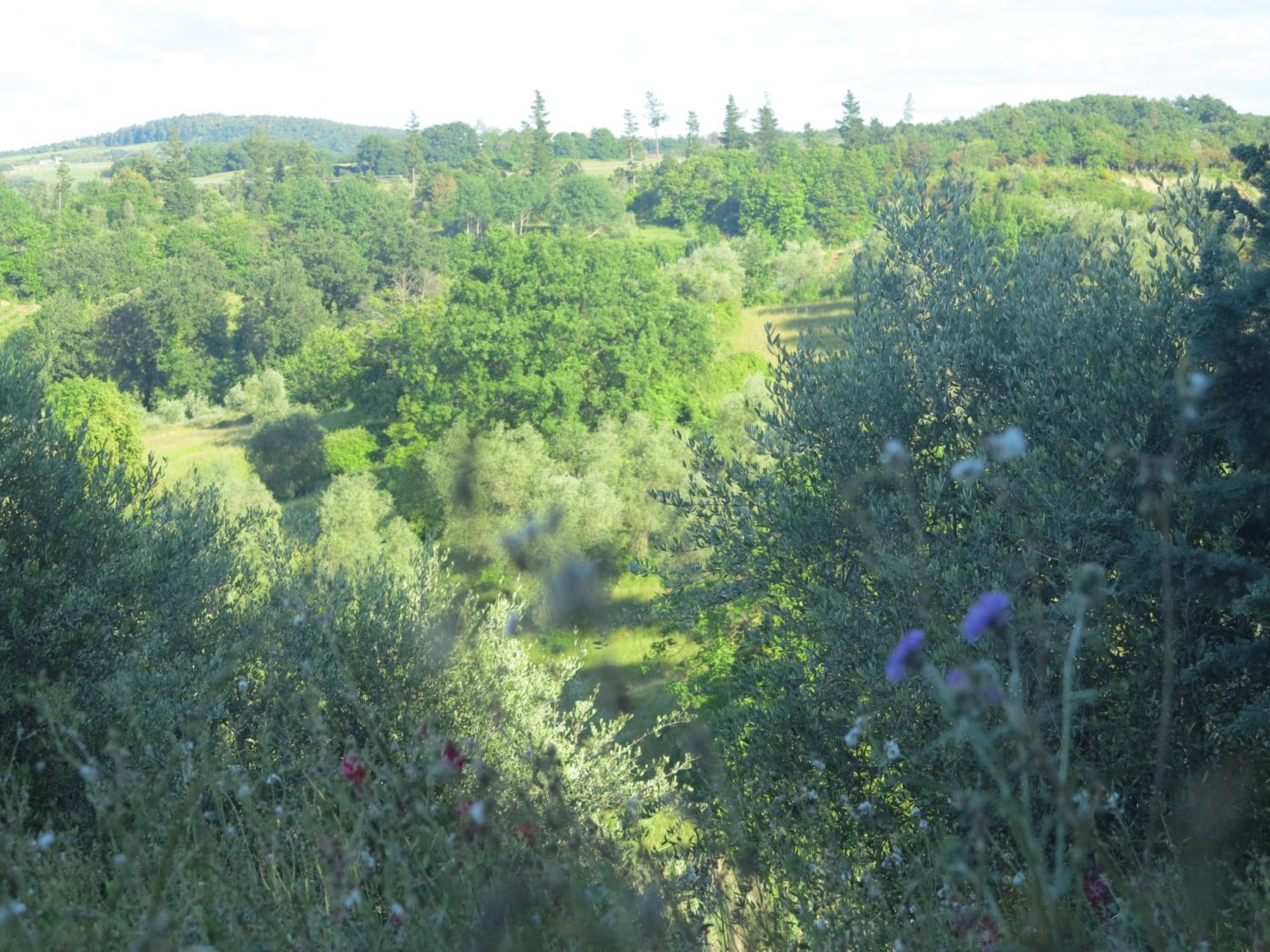 La Fornace - Agriturismo