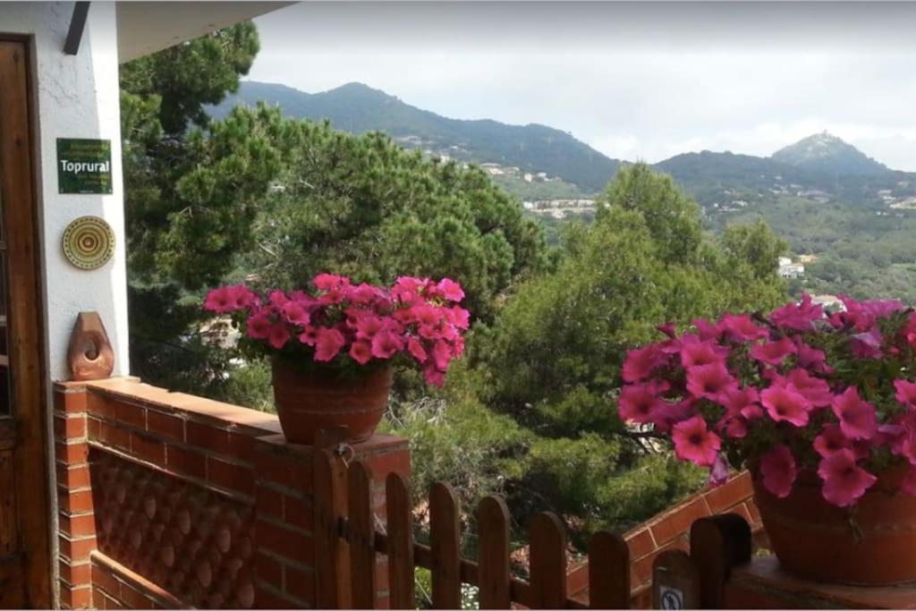 Wonderful house in the mountains with sea views