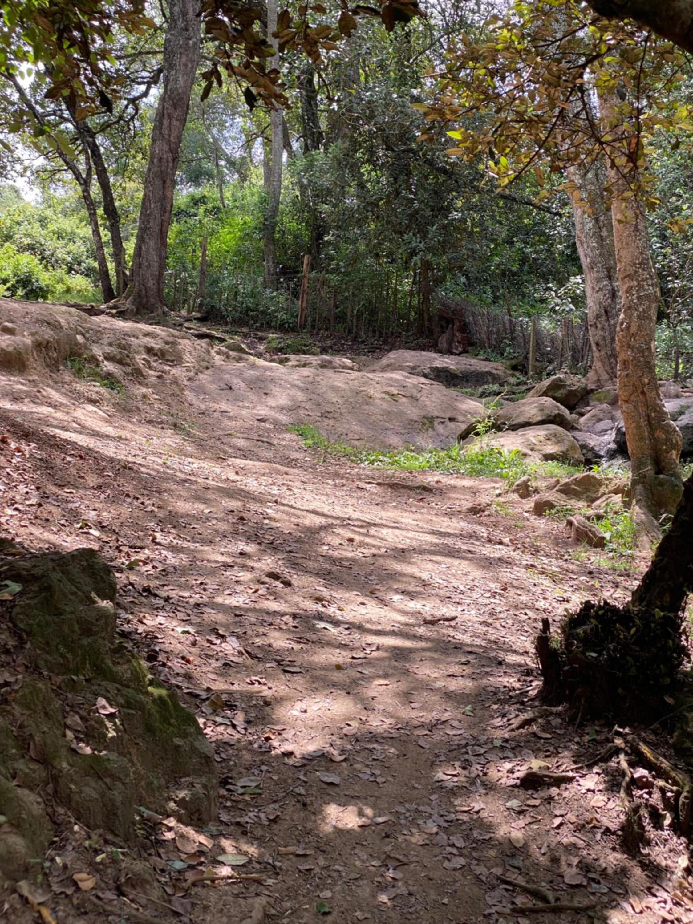 Acacia Gardens Gilgil