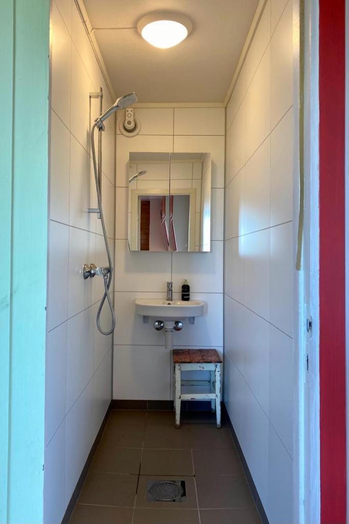 Northern Light Cabin Lofoten