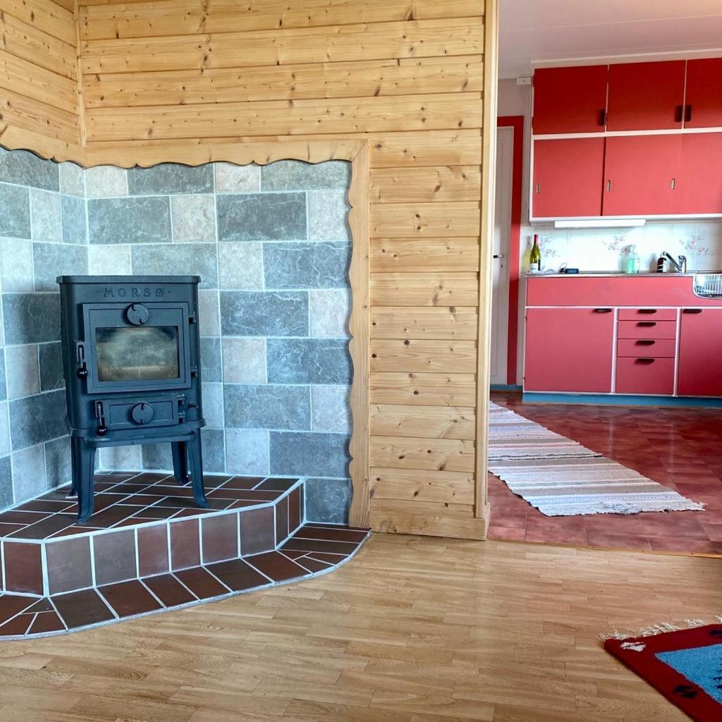 Northern Light Cabin Lofoten