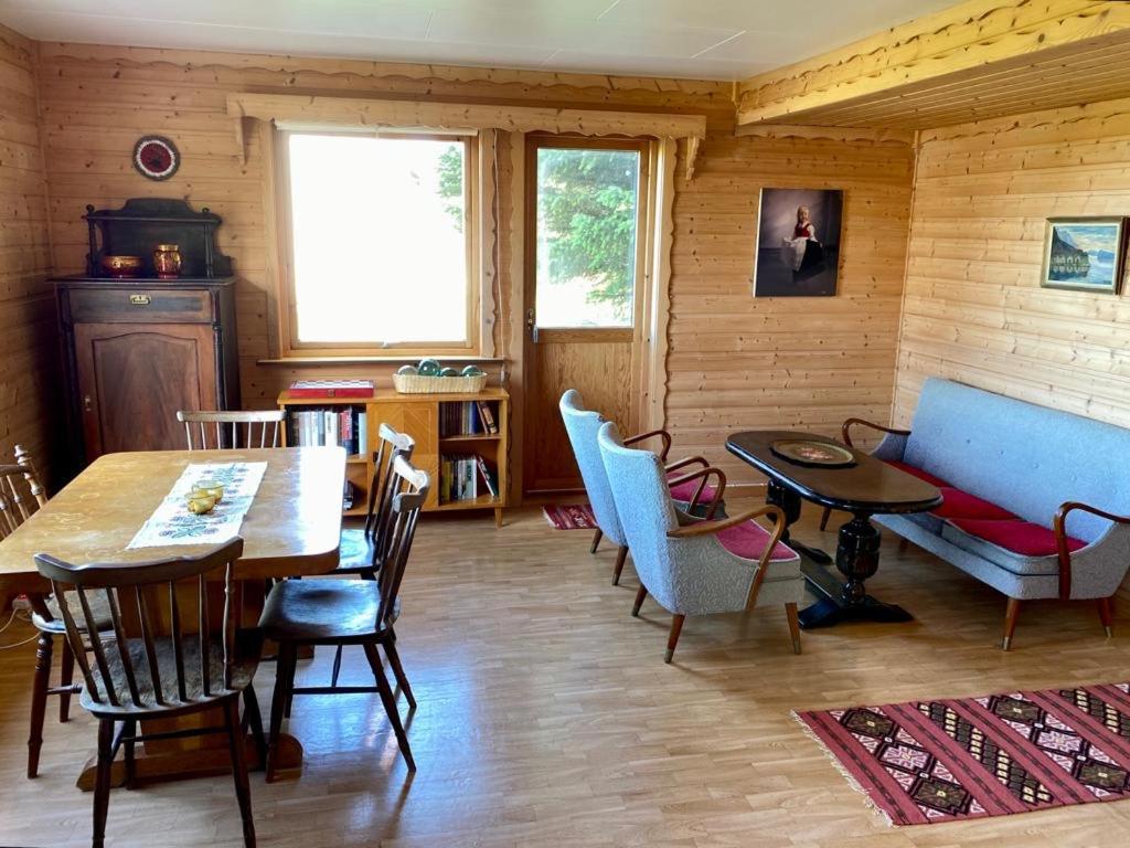 Northern Light Cabin Lofoten