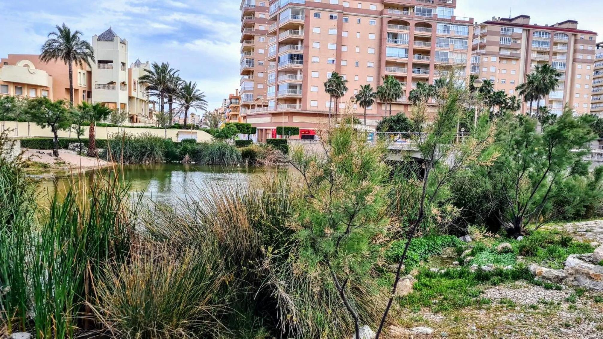 Apartmán pri mori