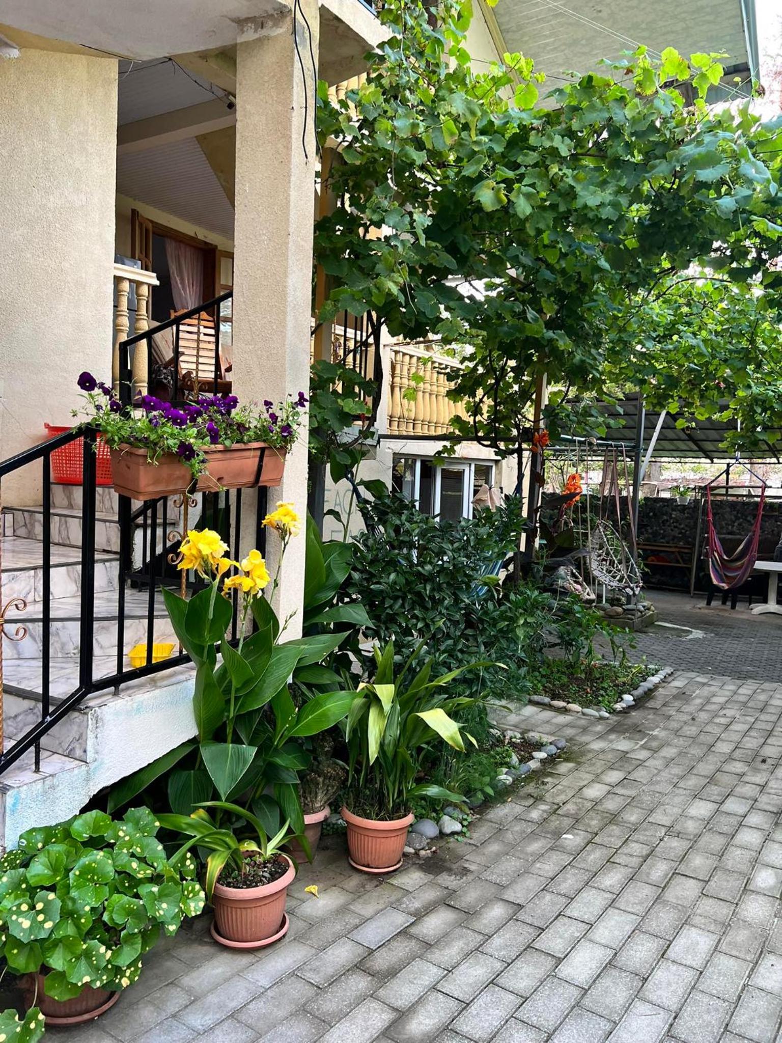 Guest House Mari view 3