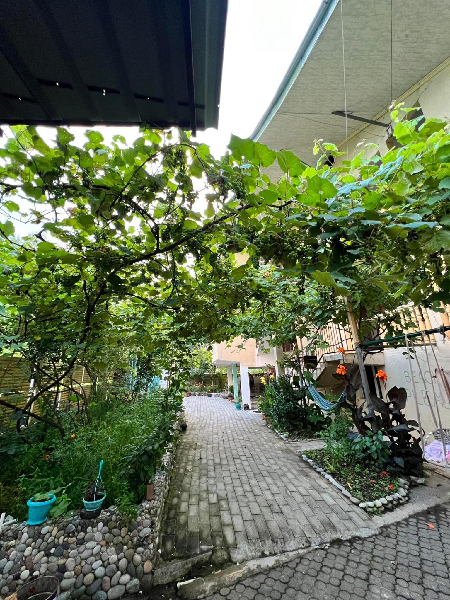 Guest House Mari view 4