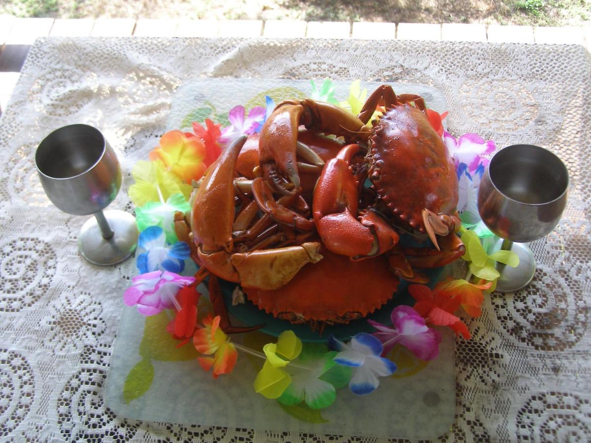 Photo 44