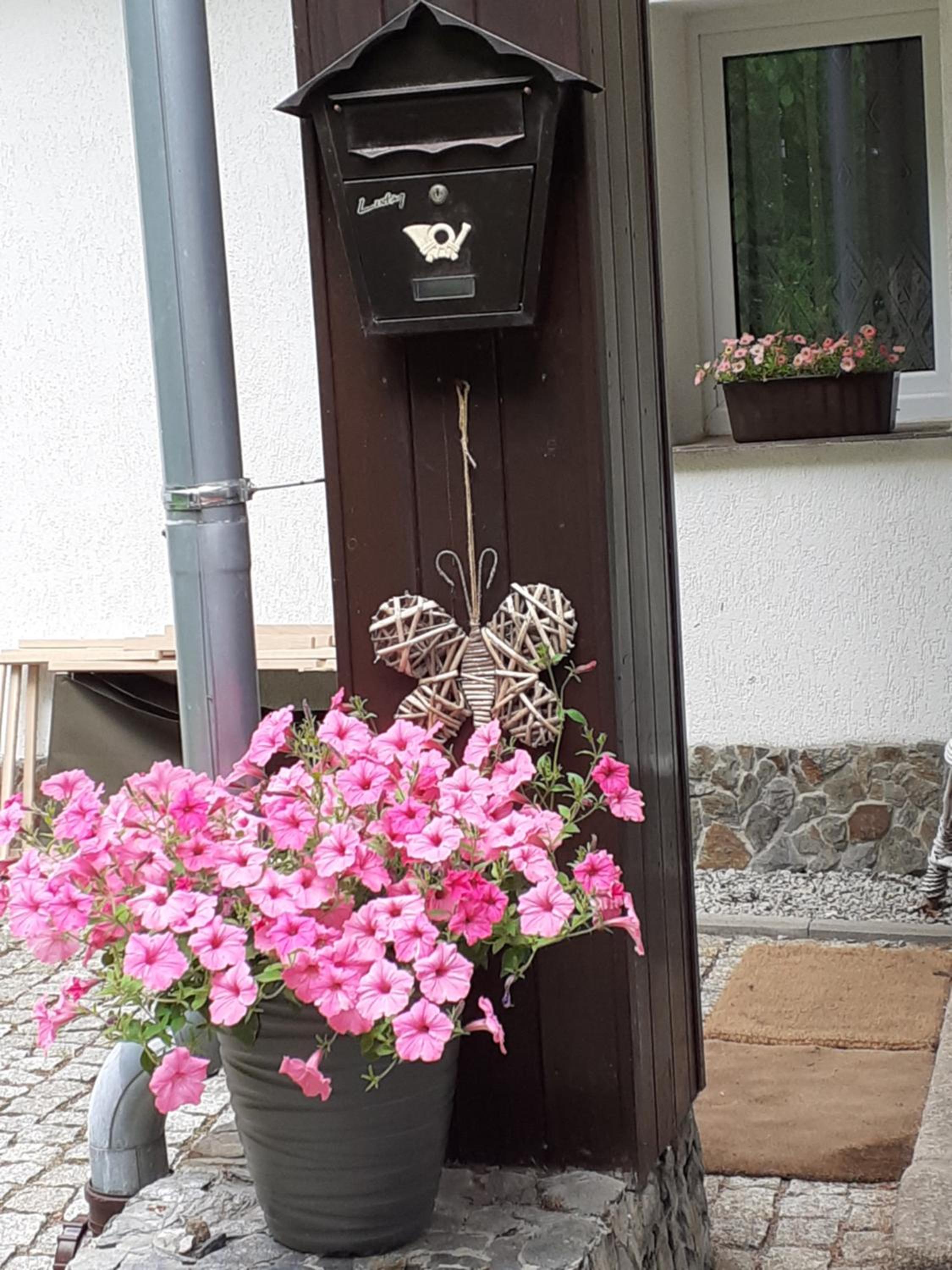 Photo 41