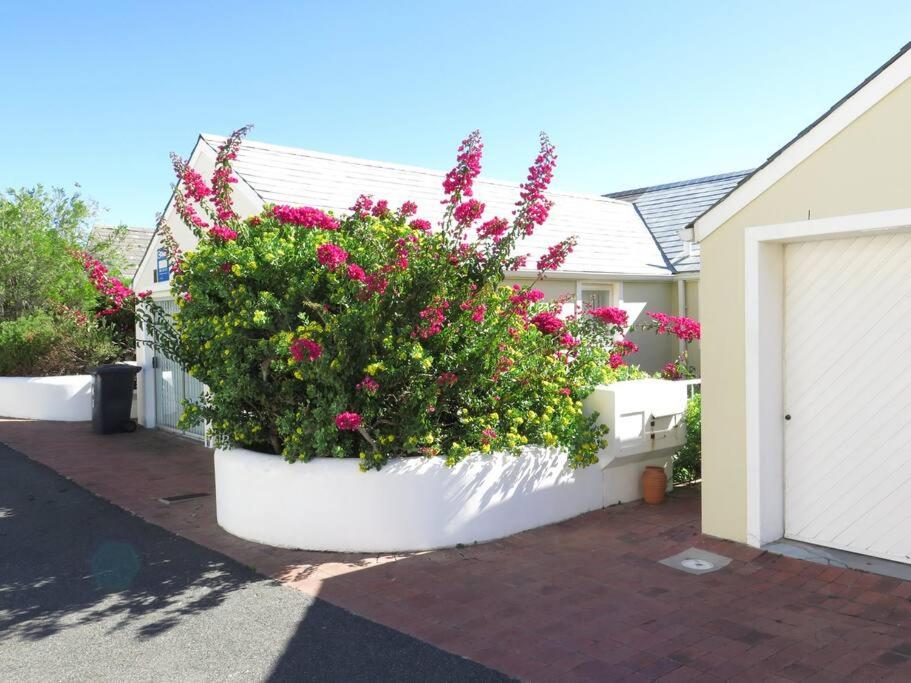 Spectacular Sea Views-Sunny Escape in Simonstown view 5