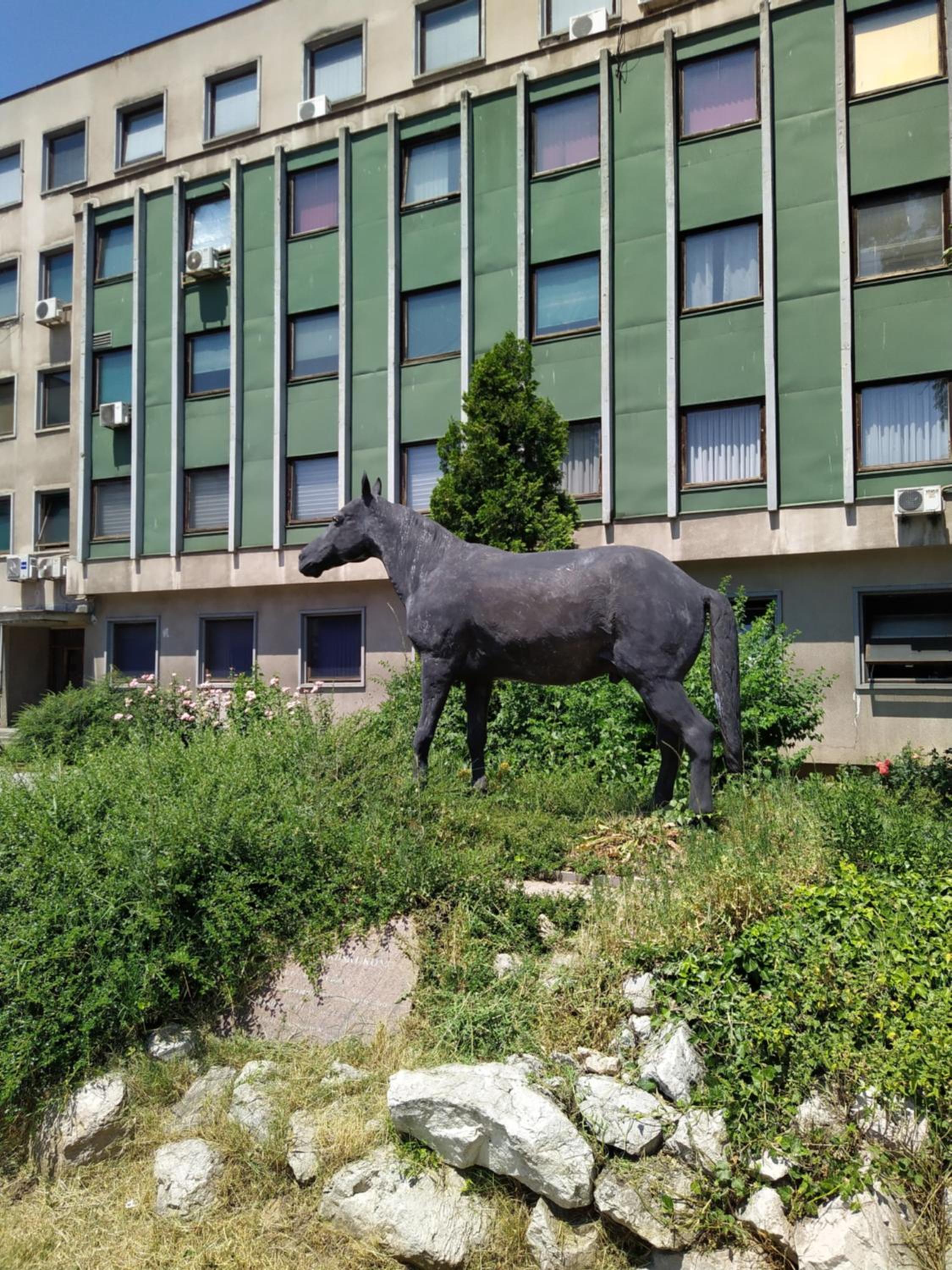 Urban Nest Apartment Sarajevo