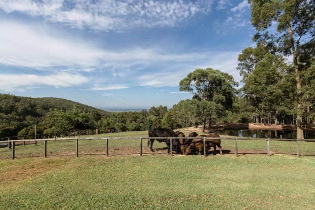 Topview Farm