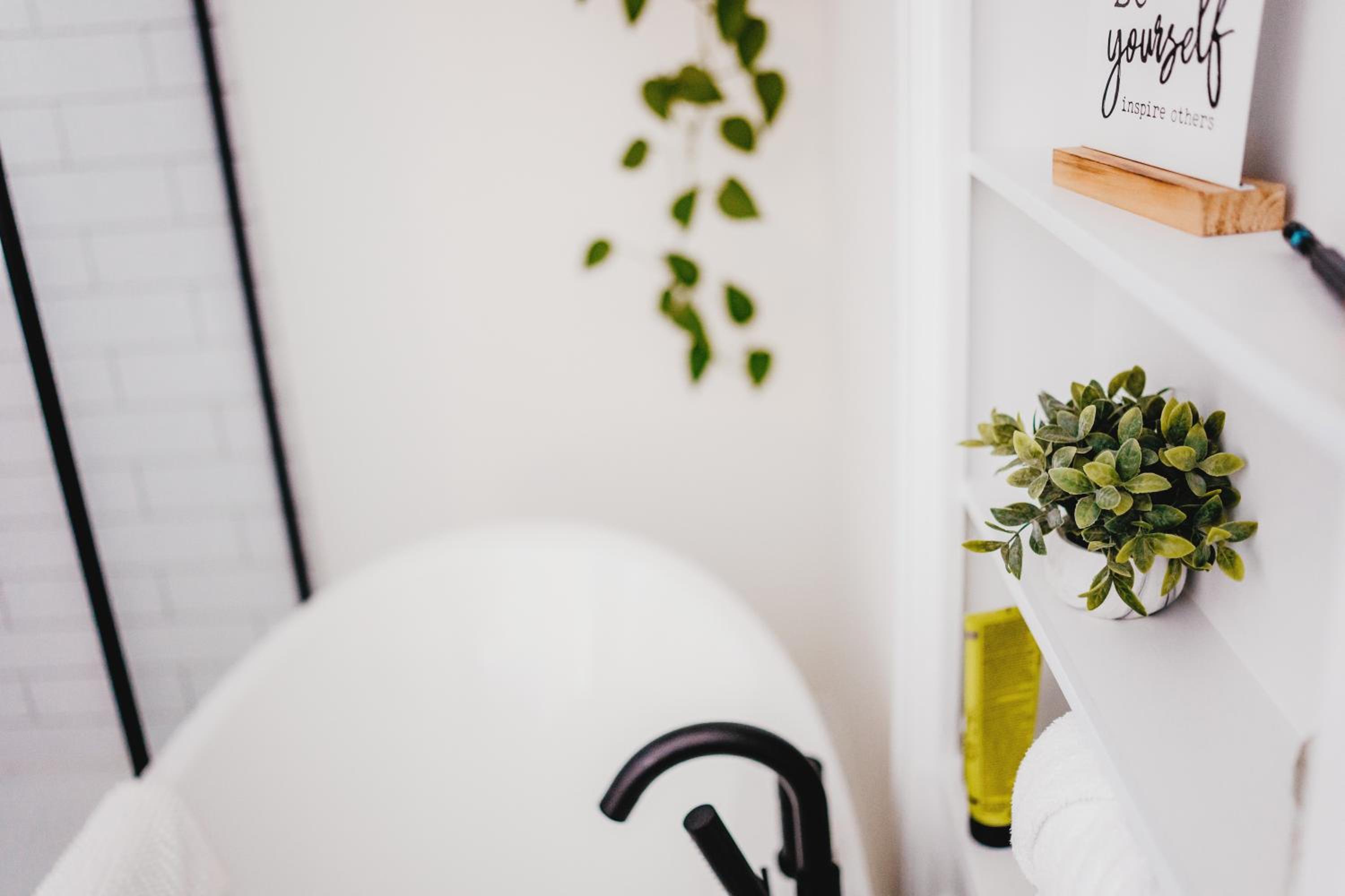 HoriZen Bnb