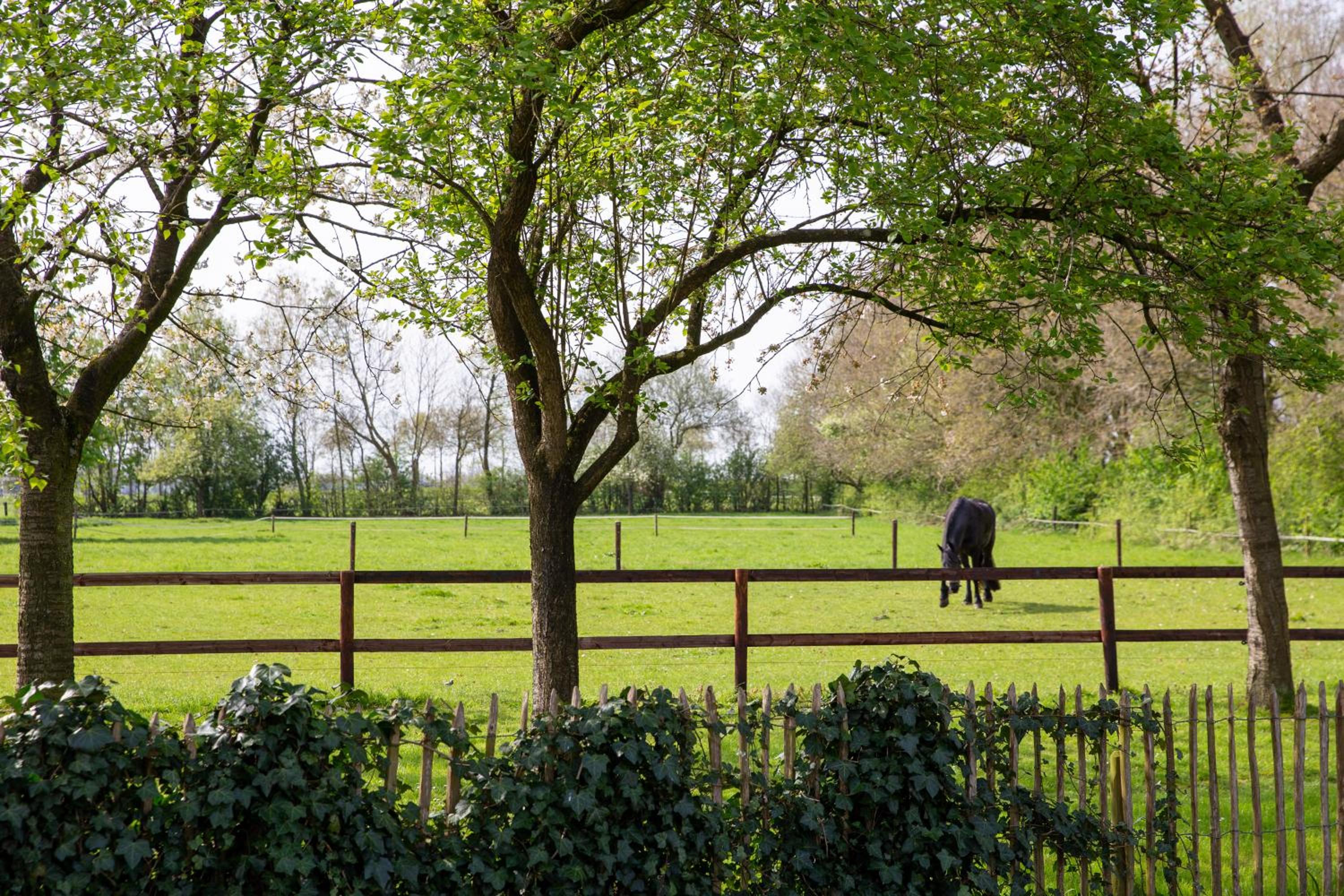 Logies-Spier - Property Image 4