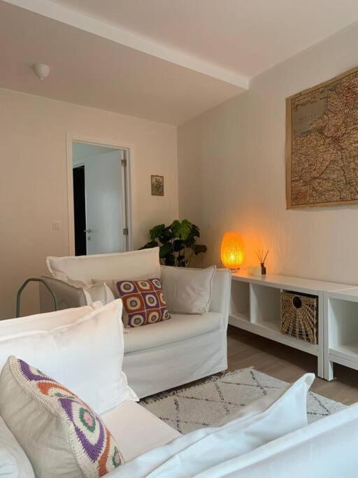 Cozy studio in centre of Old Town