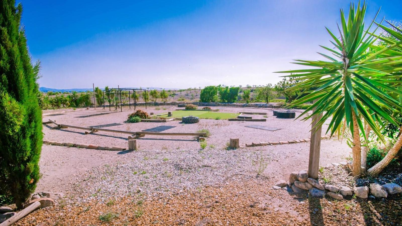 activities & amenities