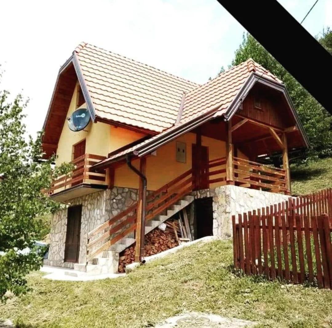 Vila Mitrović Zaovine view 2