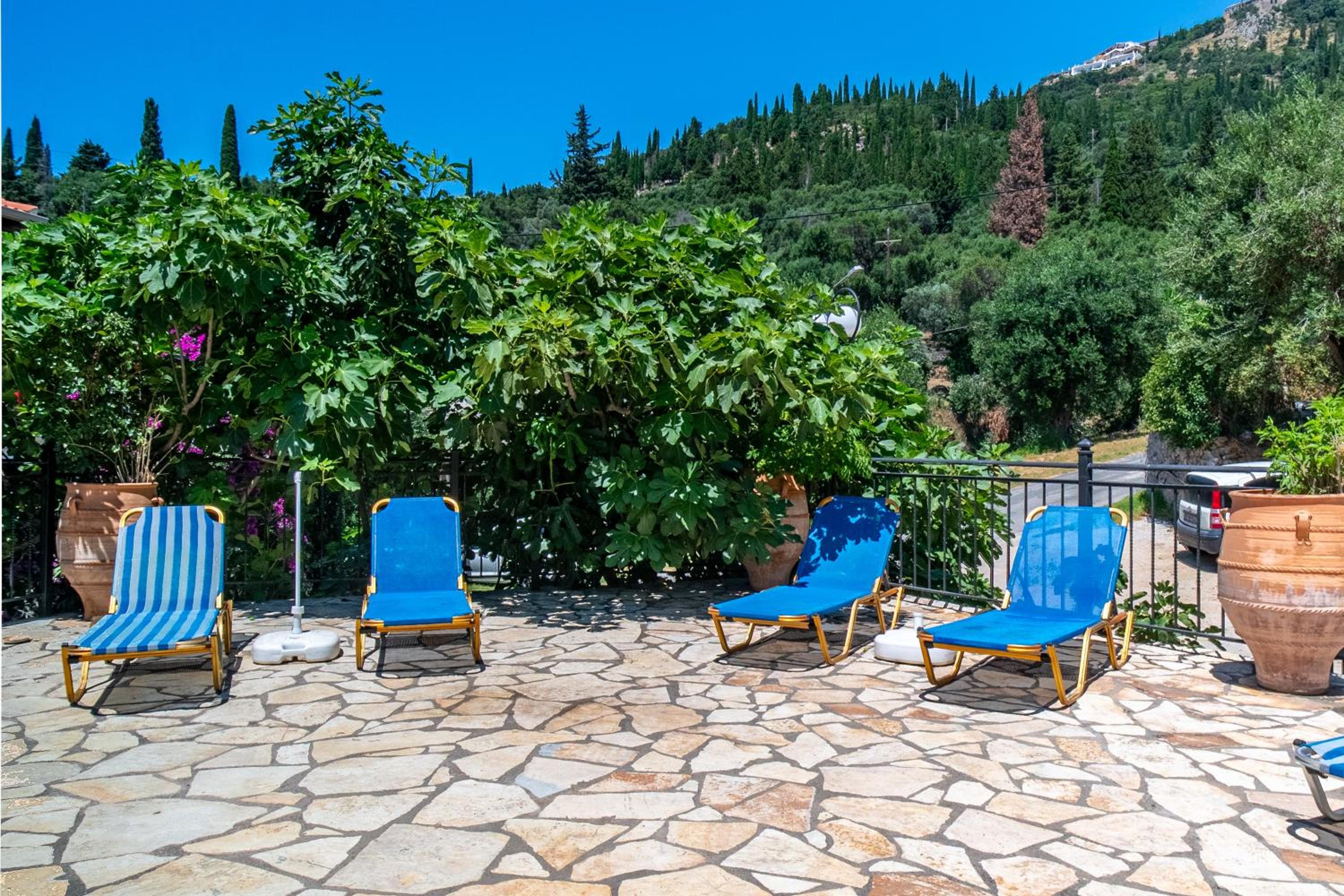 Arianna Superior Studio 18 photo 5