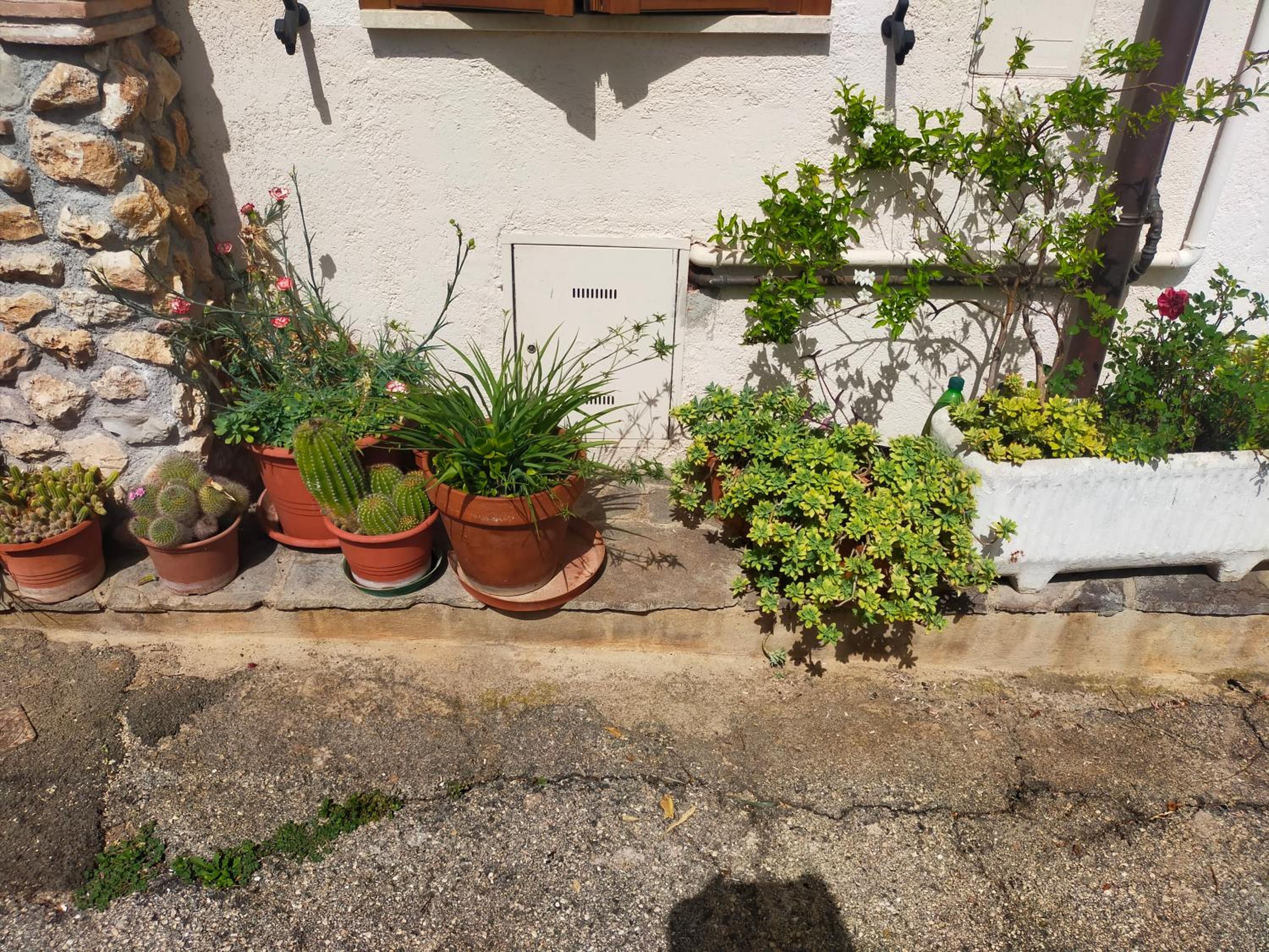 Photo 22