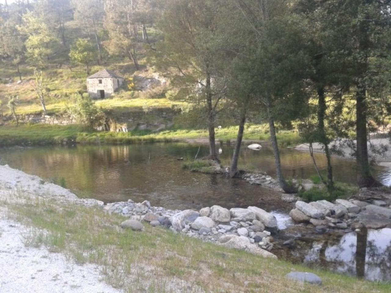 Photo 7