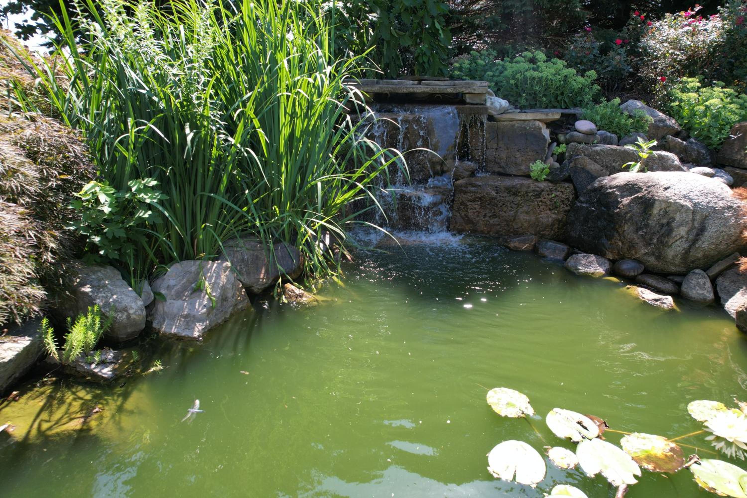 Photo 15