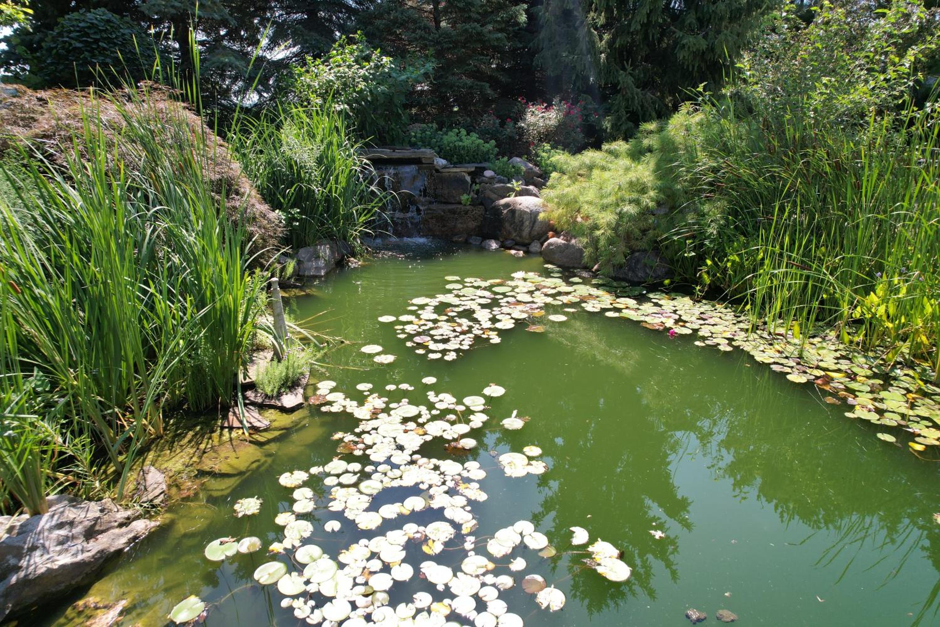 Photo 40
