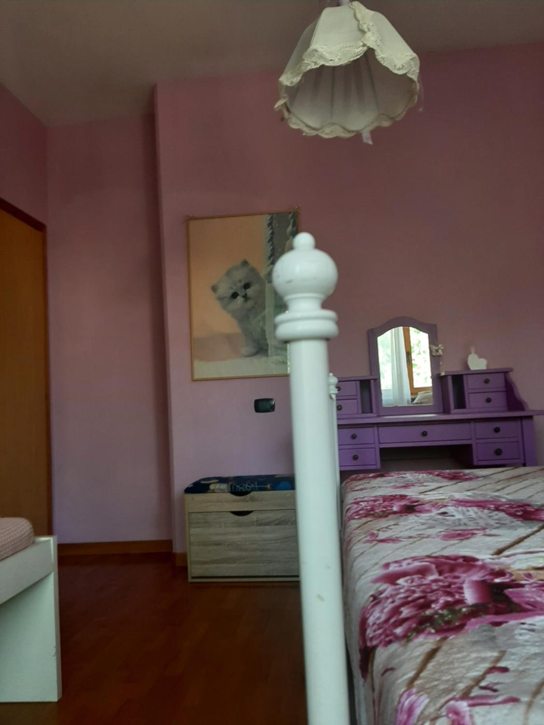 Gufo Azzurro photo 5