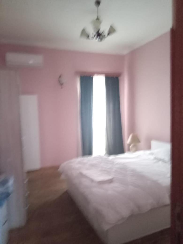 Nodari's Guest house view 3