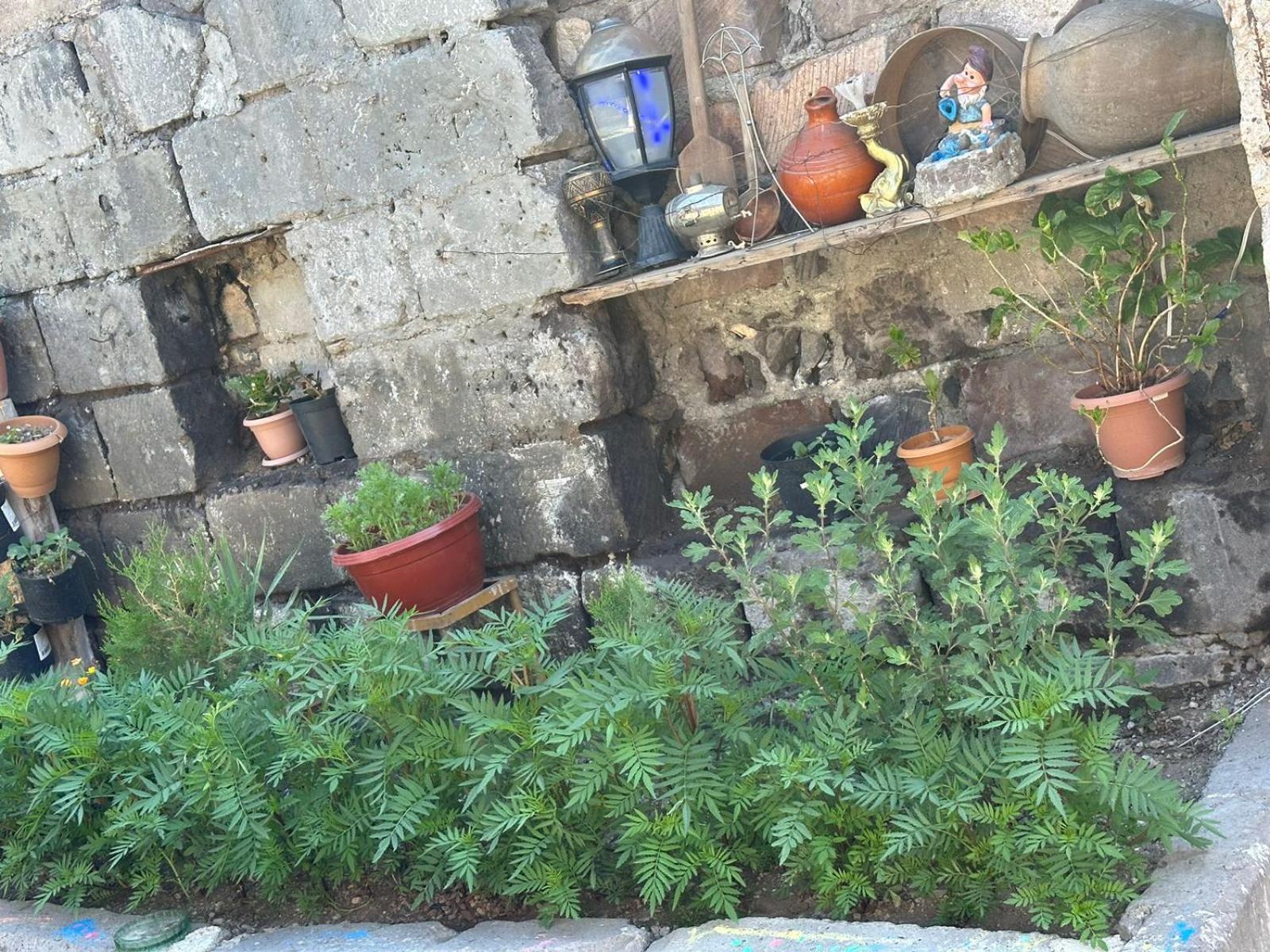 Ispiryan's Home