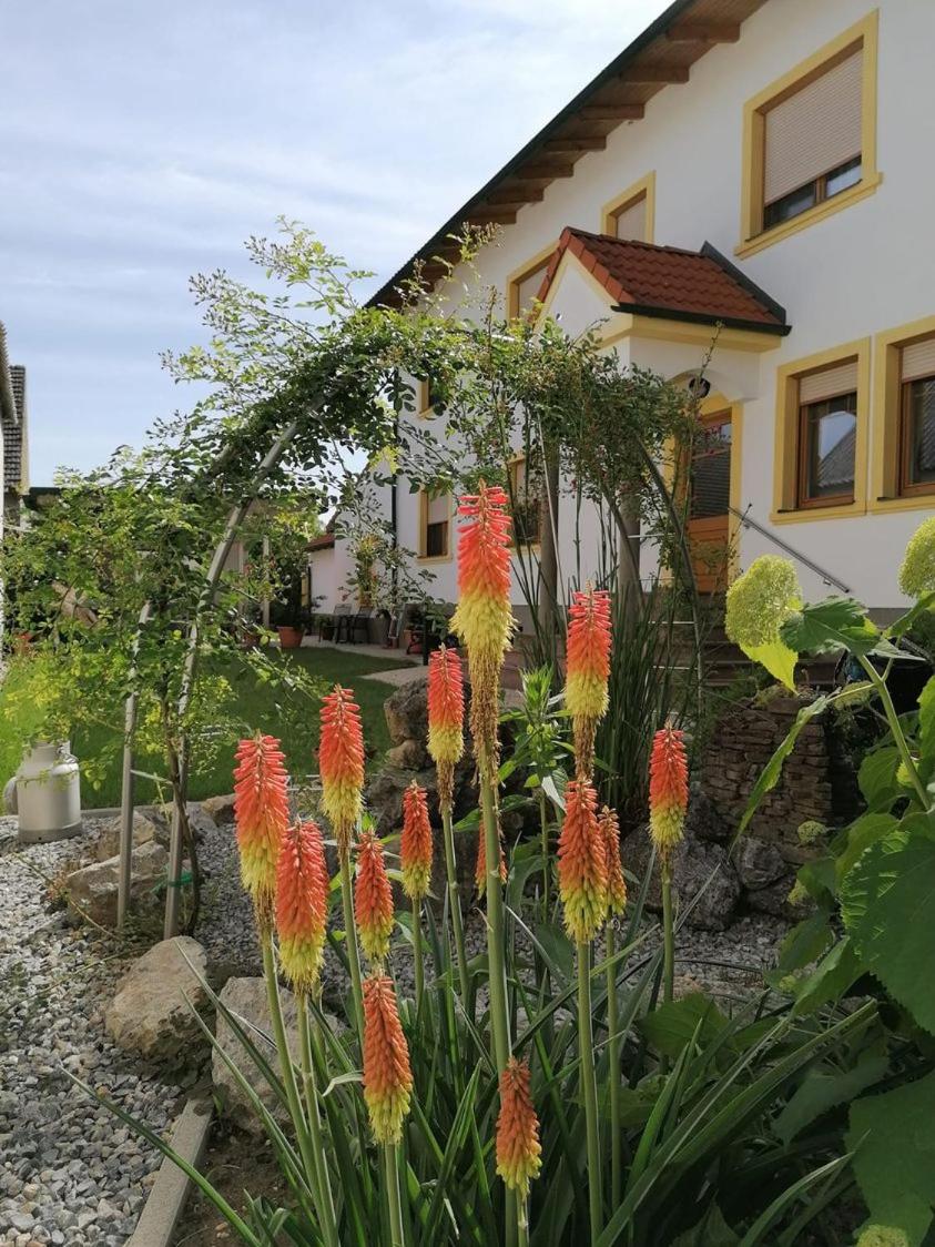 NATIONALPARKHOF GARTNER Weingut-Gästehaus