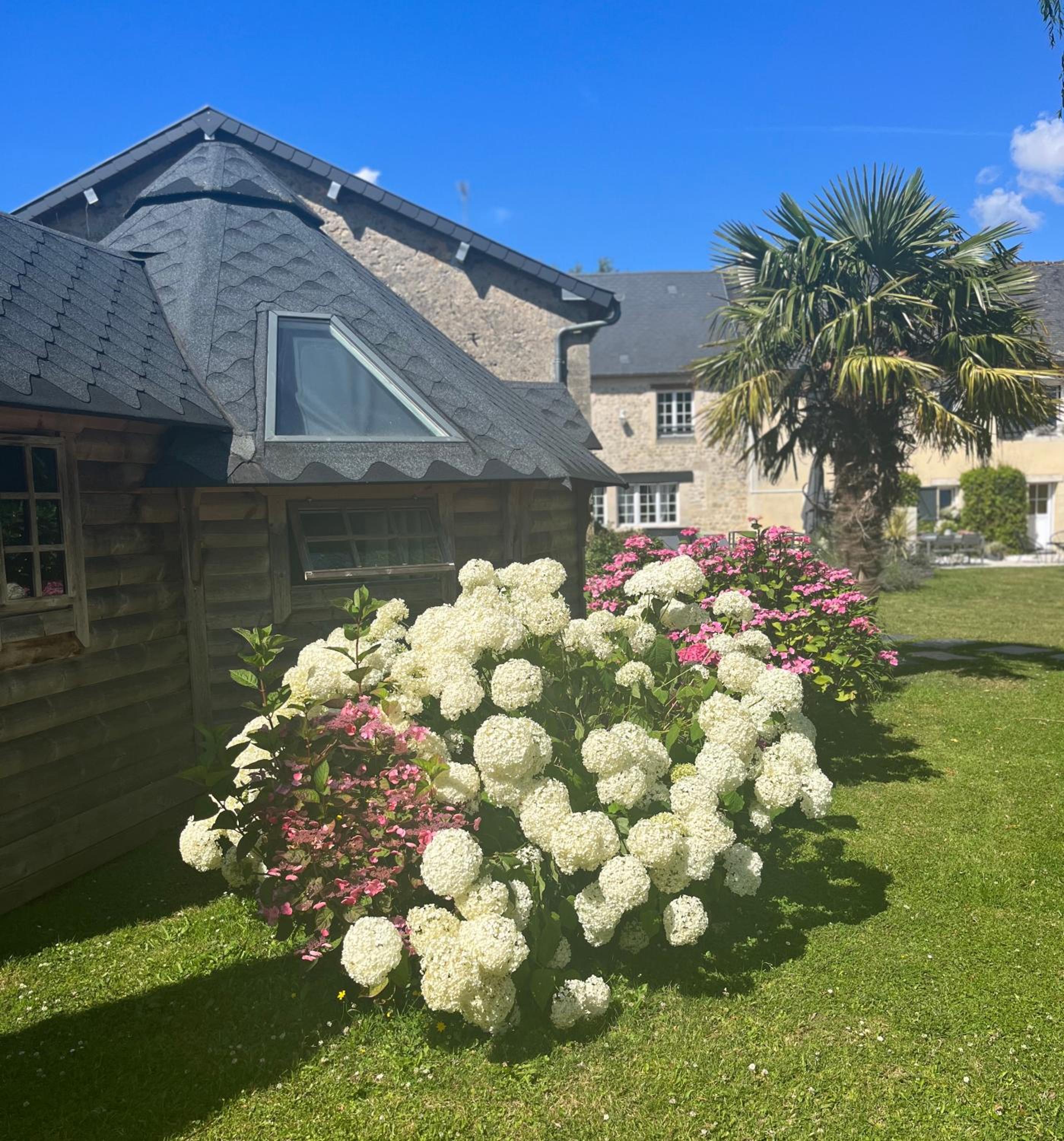 Photo 50