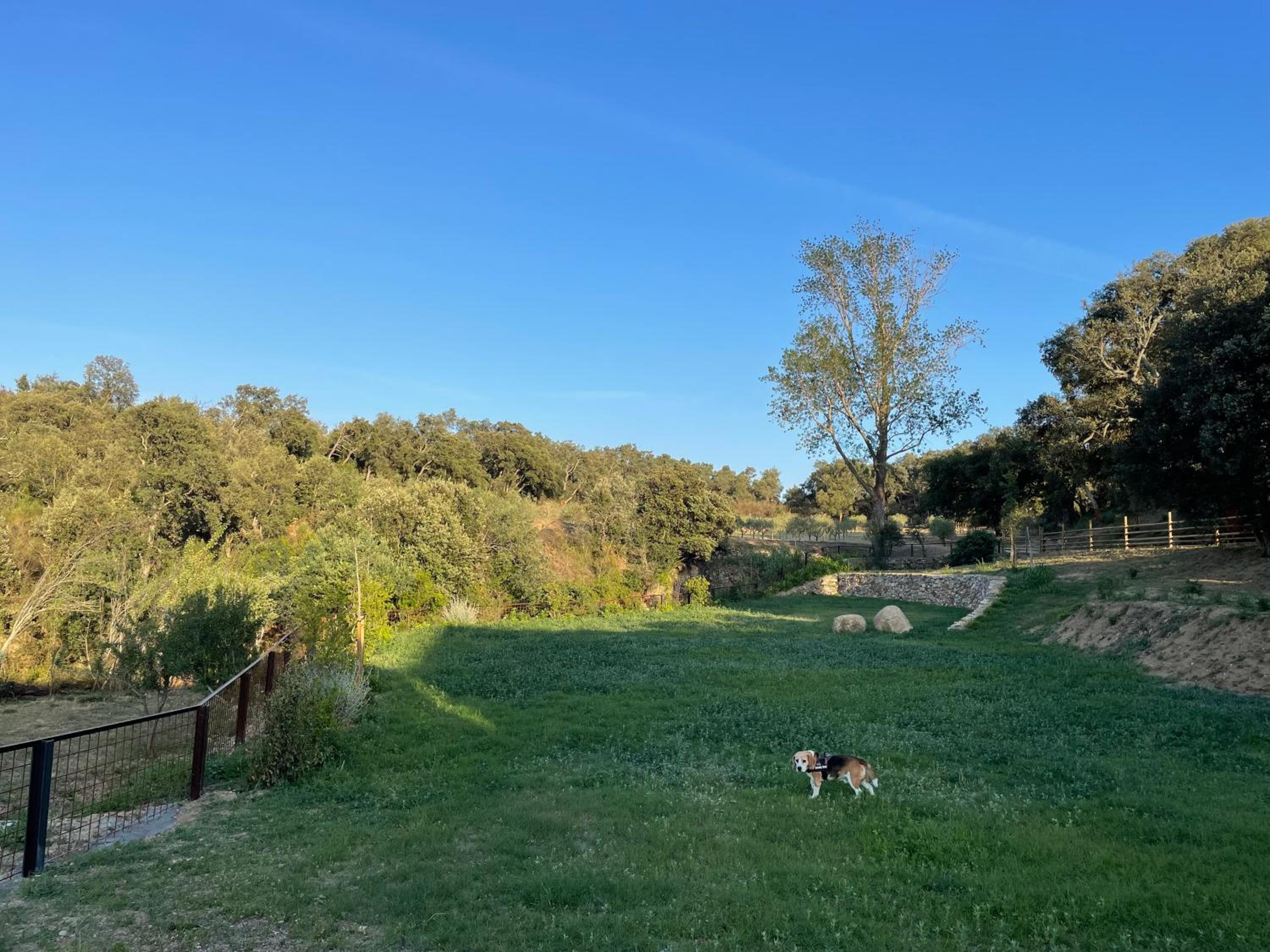 Can Clarós