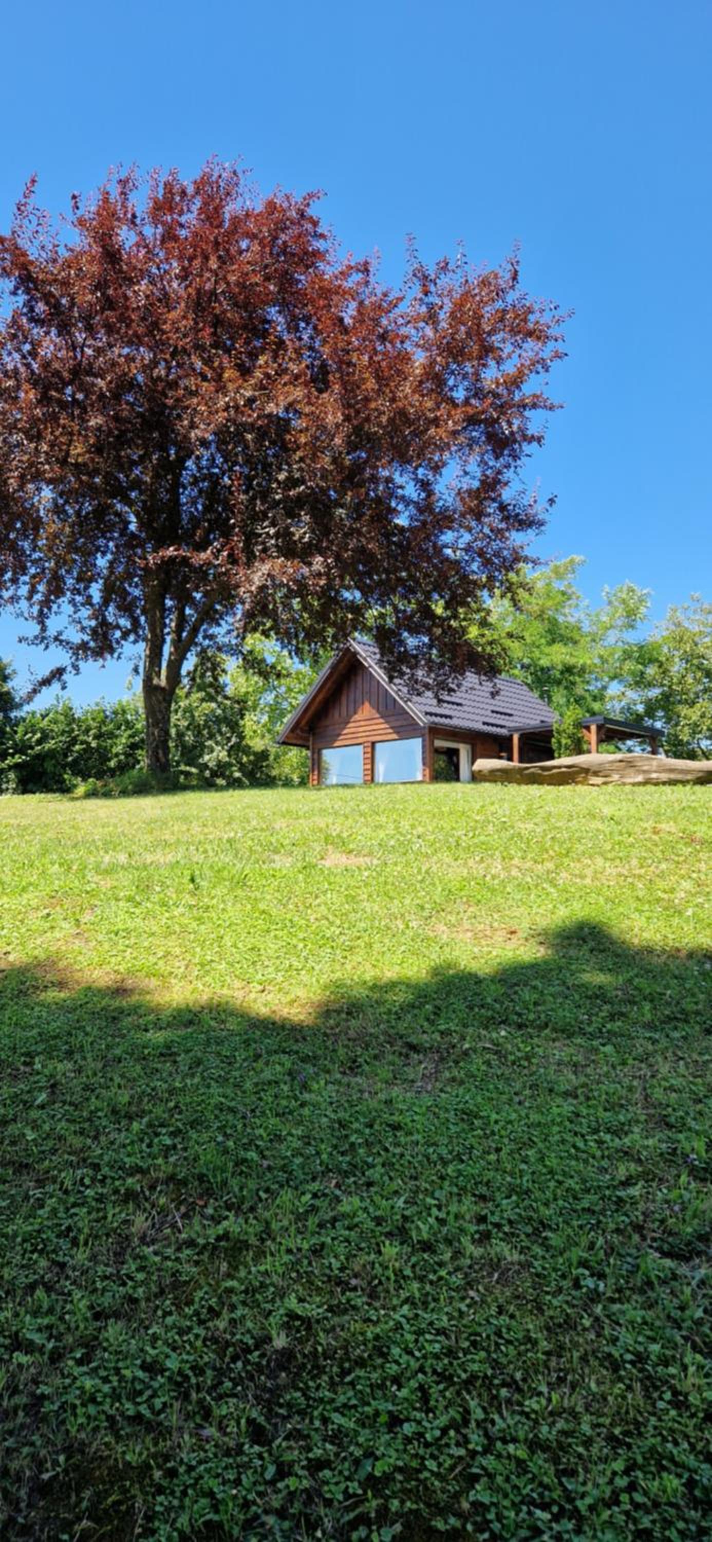 Mini Hill - Tiny House view 2