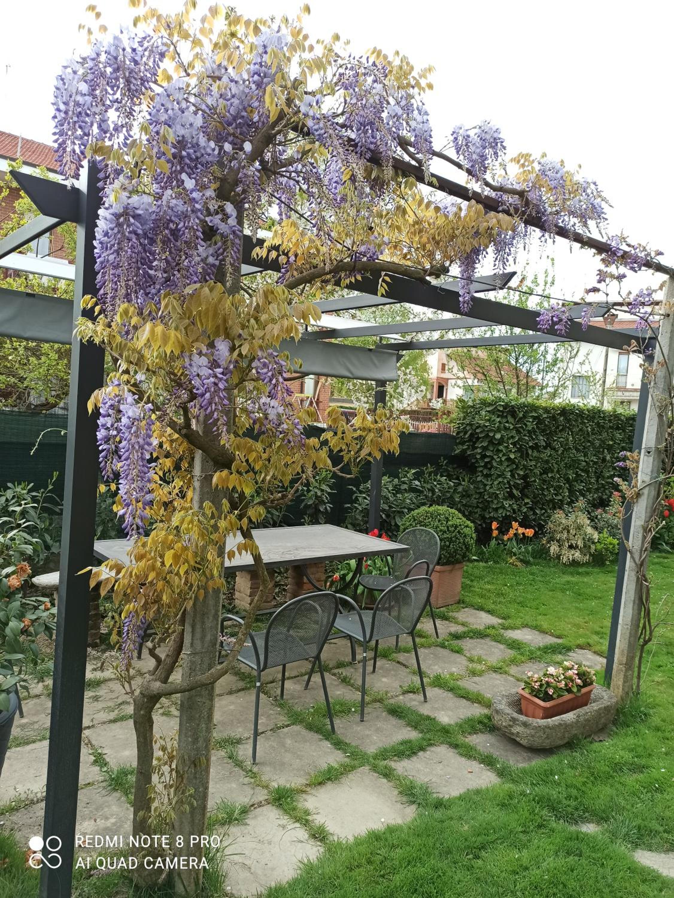 D'OR DUBLE' bed and breakfast view 5