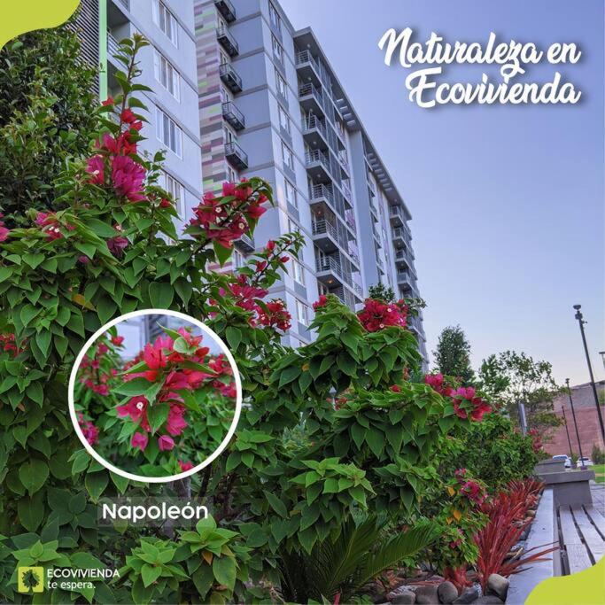Apartamento en Ecovivienda Fase 2 Tegucigalpa view 4
