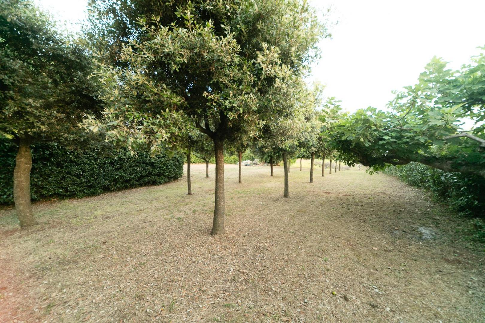 Dimora Beatrice