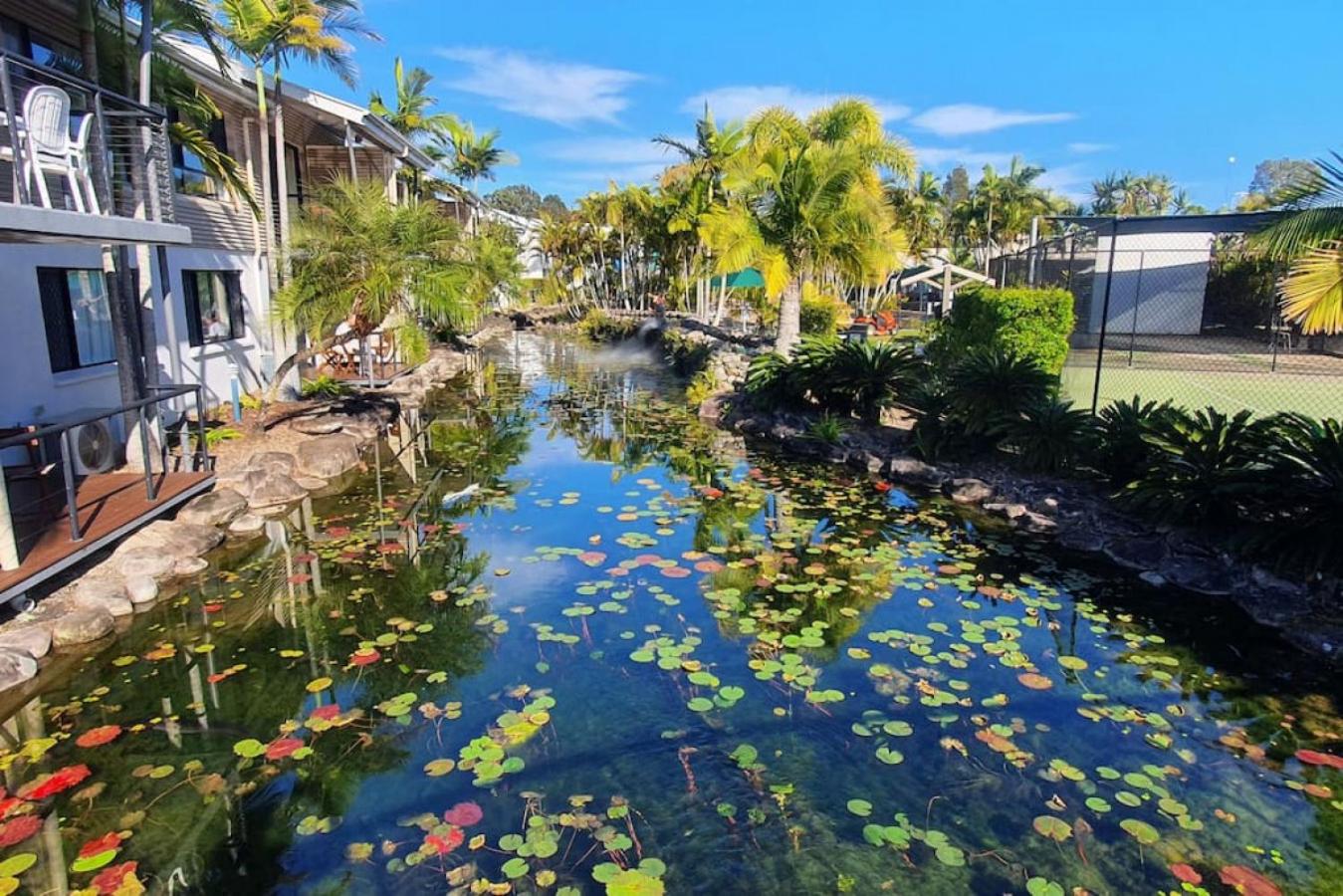 Paradise among the bright and breezy palms 118IP