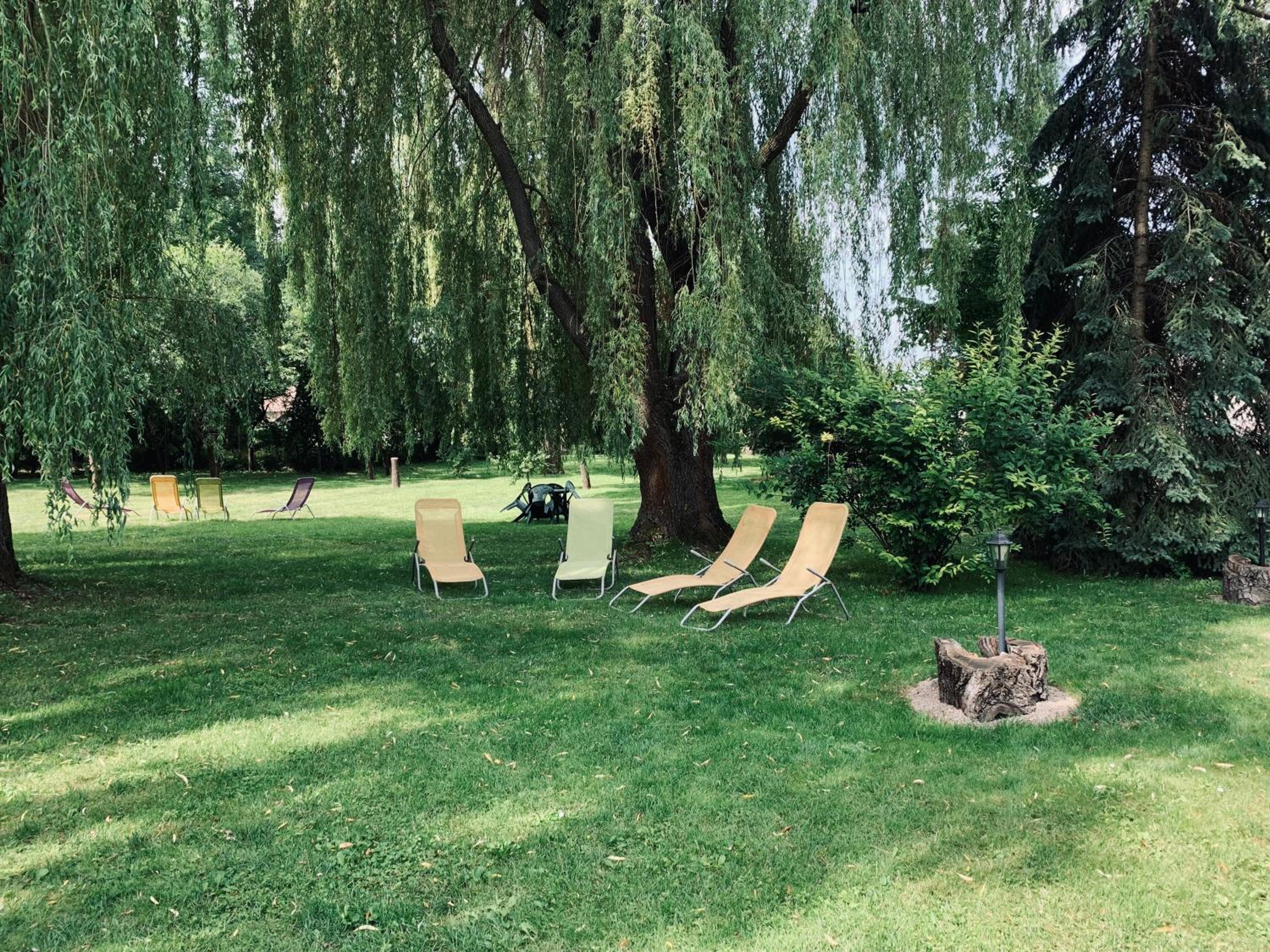 Photo 43