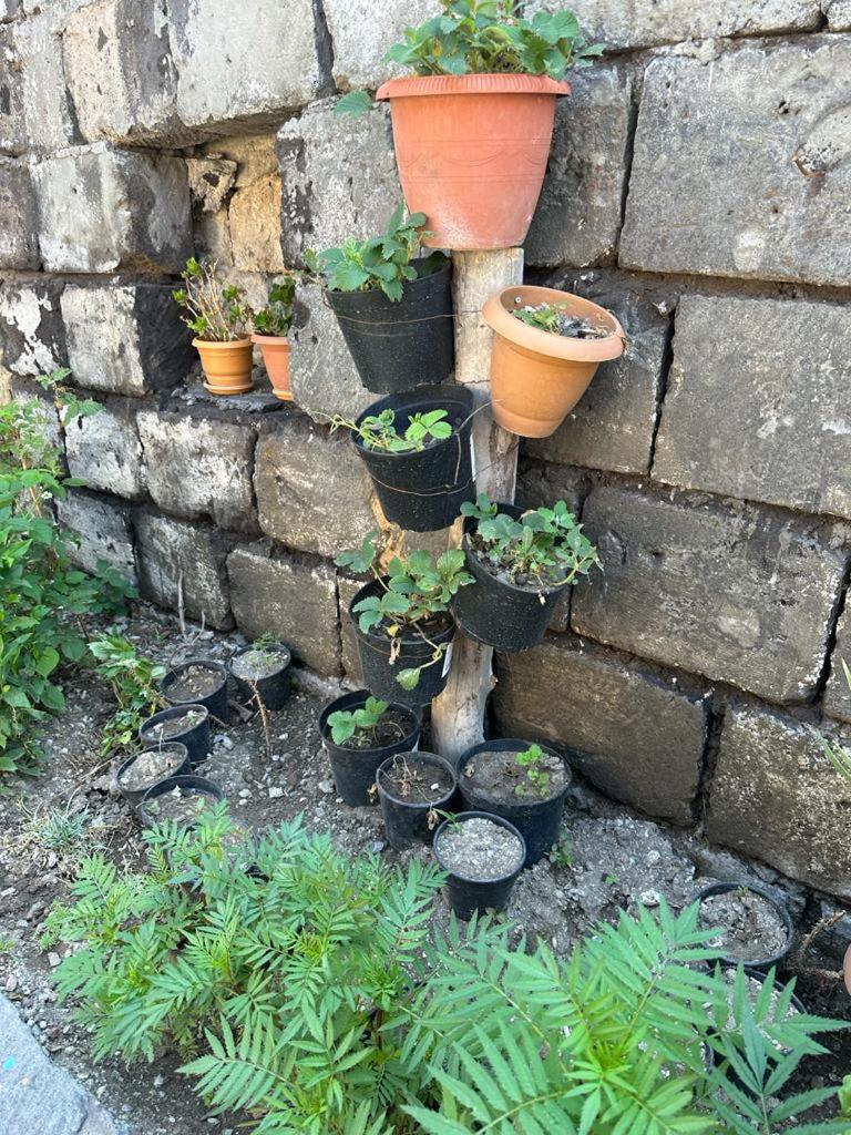 Ispiryan's Home