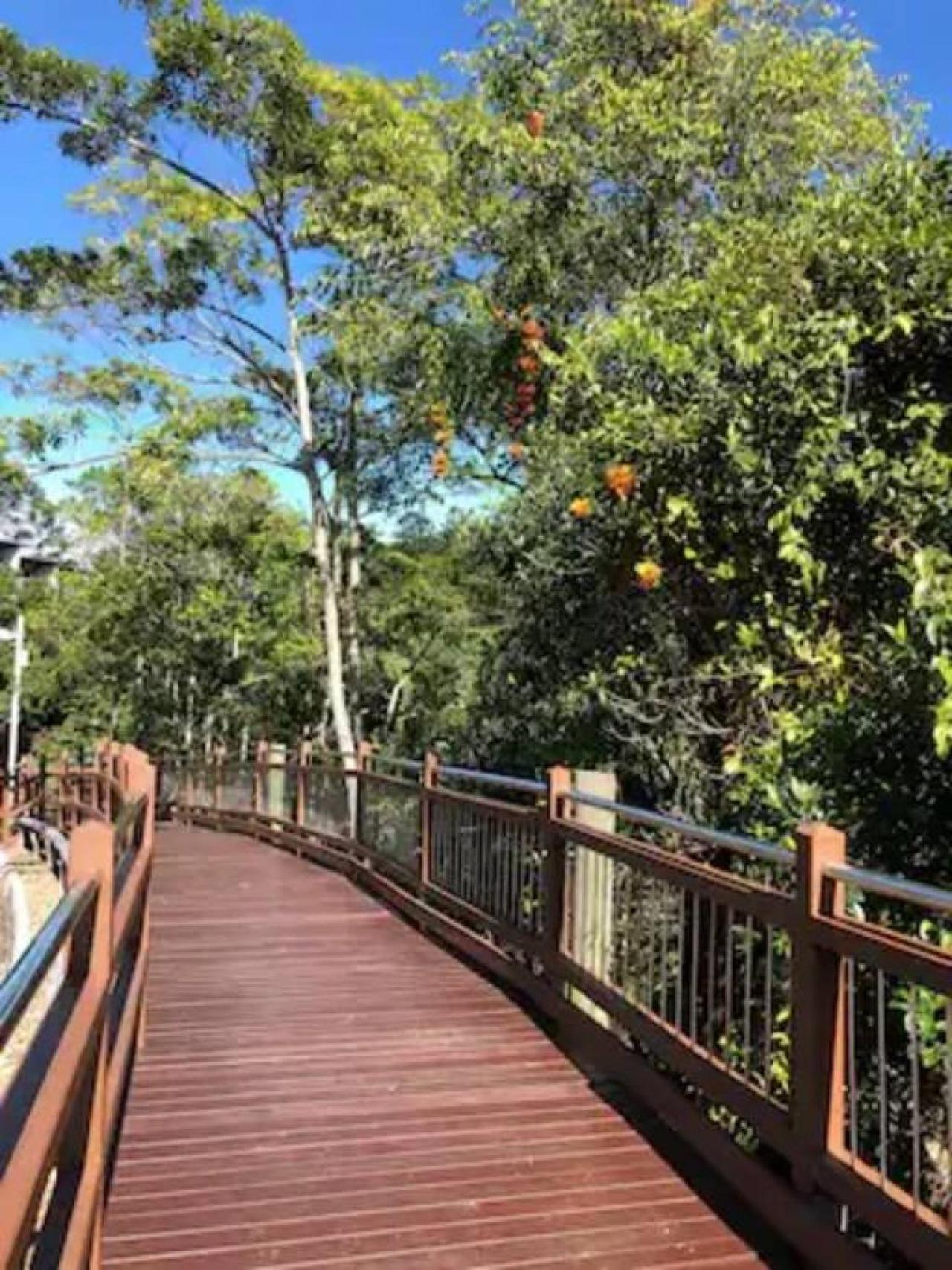 Lush Rainforest Retreat minutes from Hastings St 8201