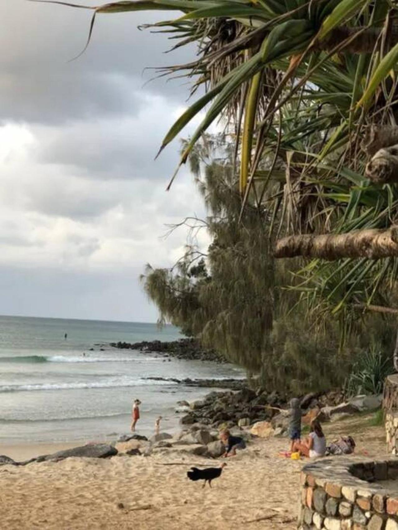 Short Stroll to Main Beach 9212