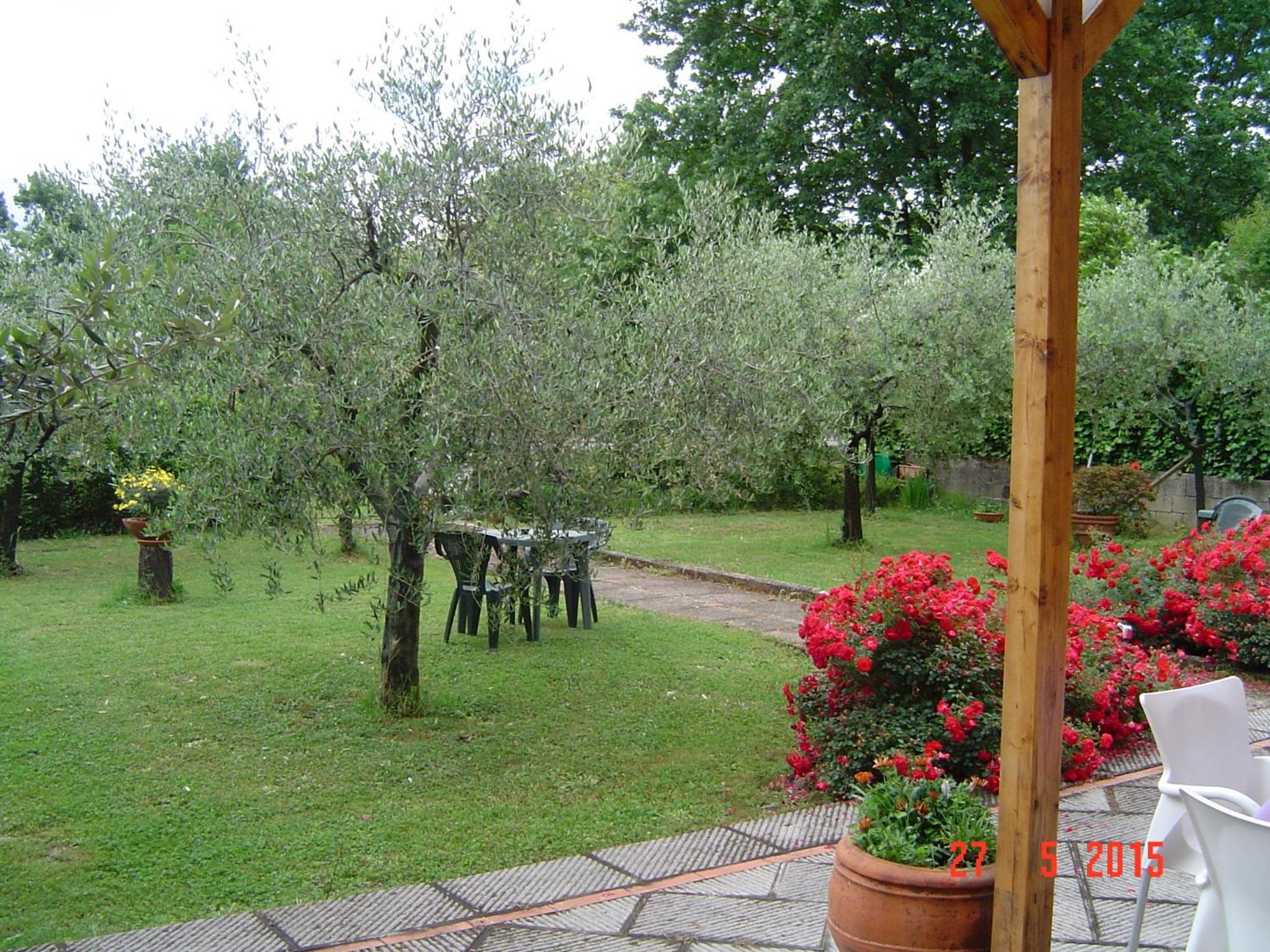 Photo 41
