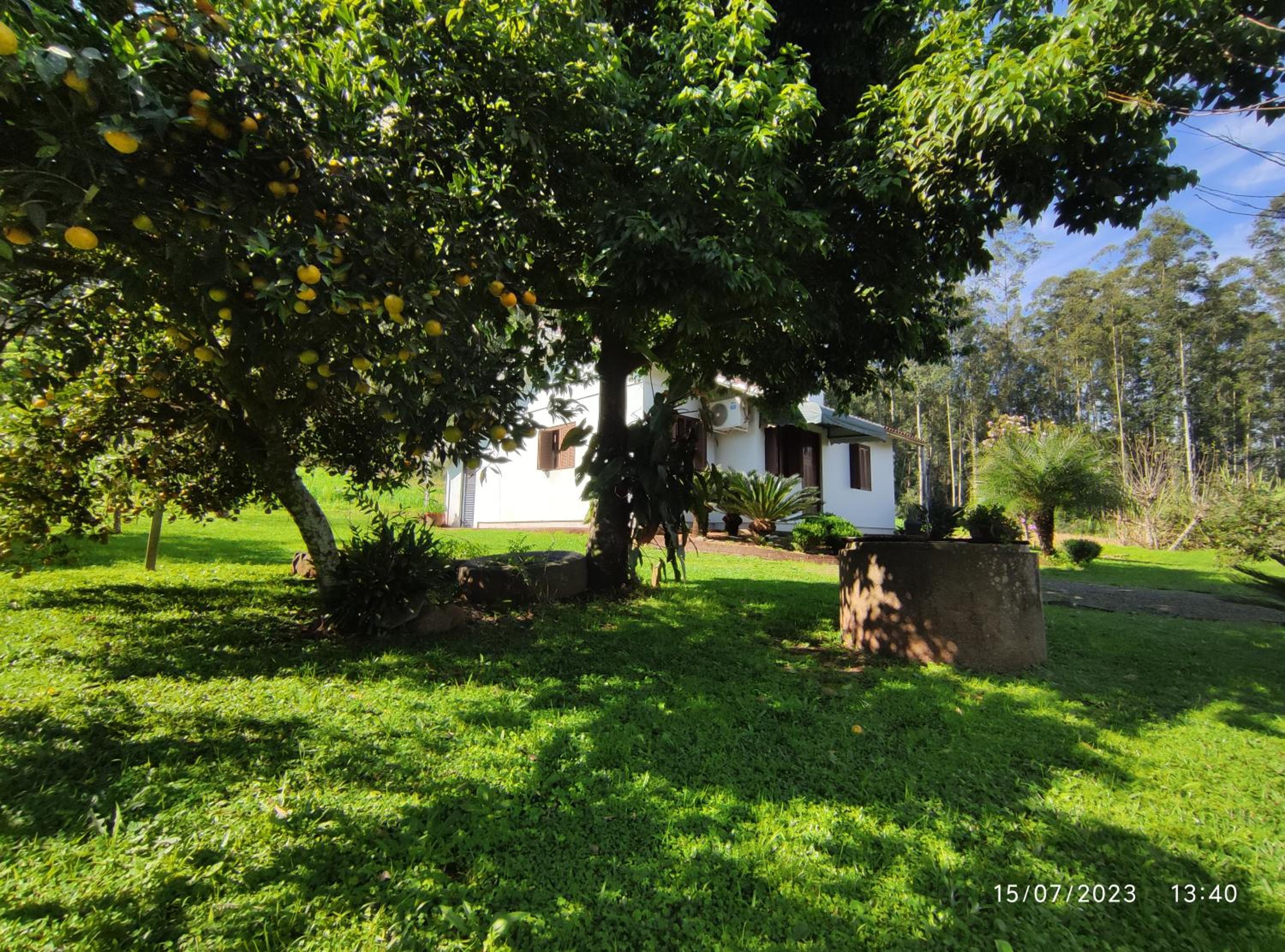Casa térrea em meio ao verde!