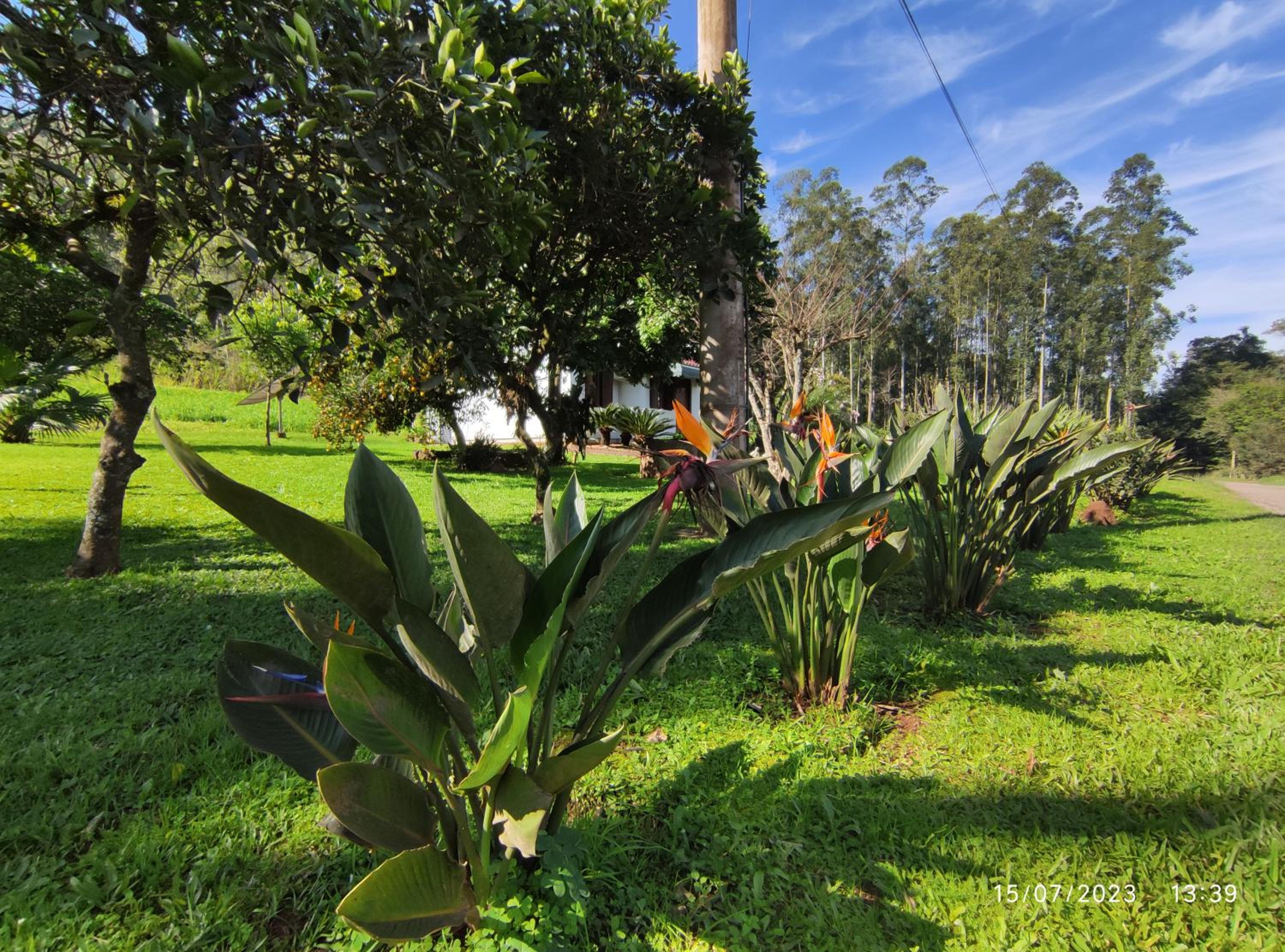 Casa térrea em meio ao verde!