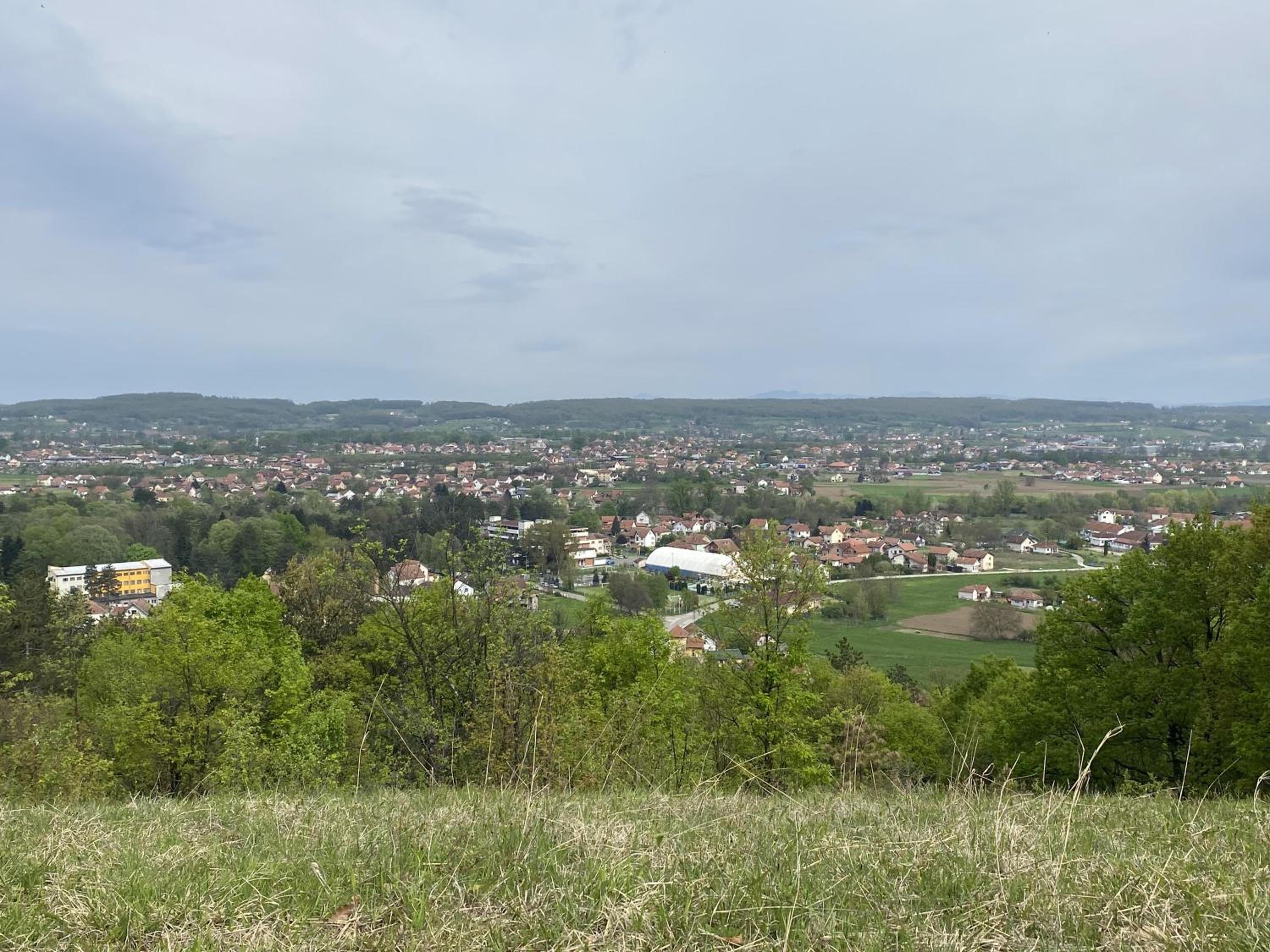 Photo 31