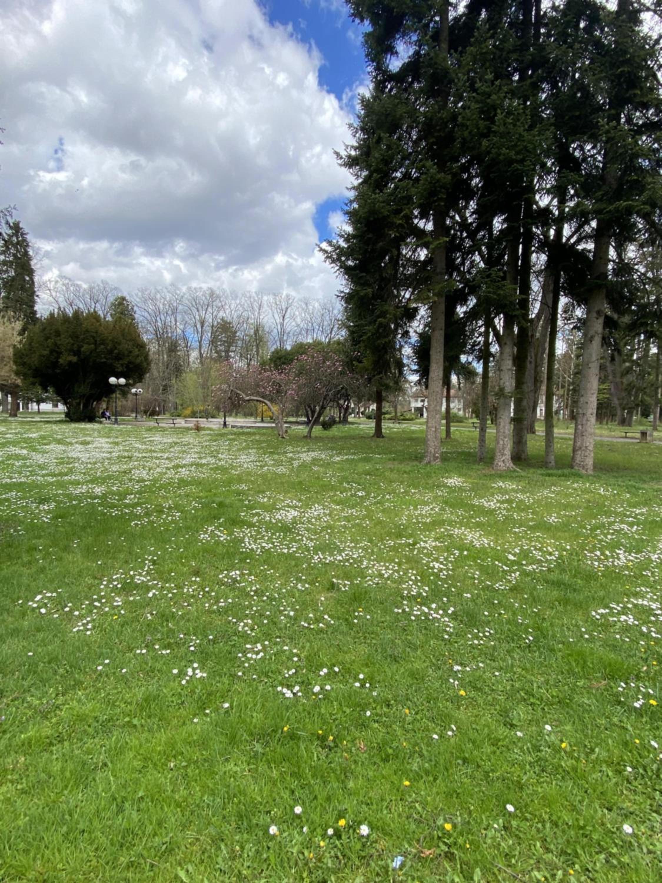 Photo 39