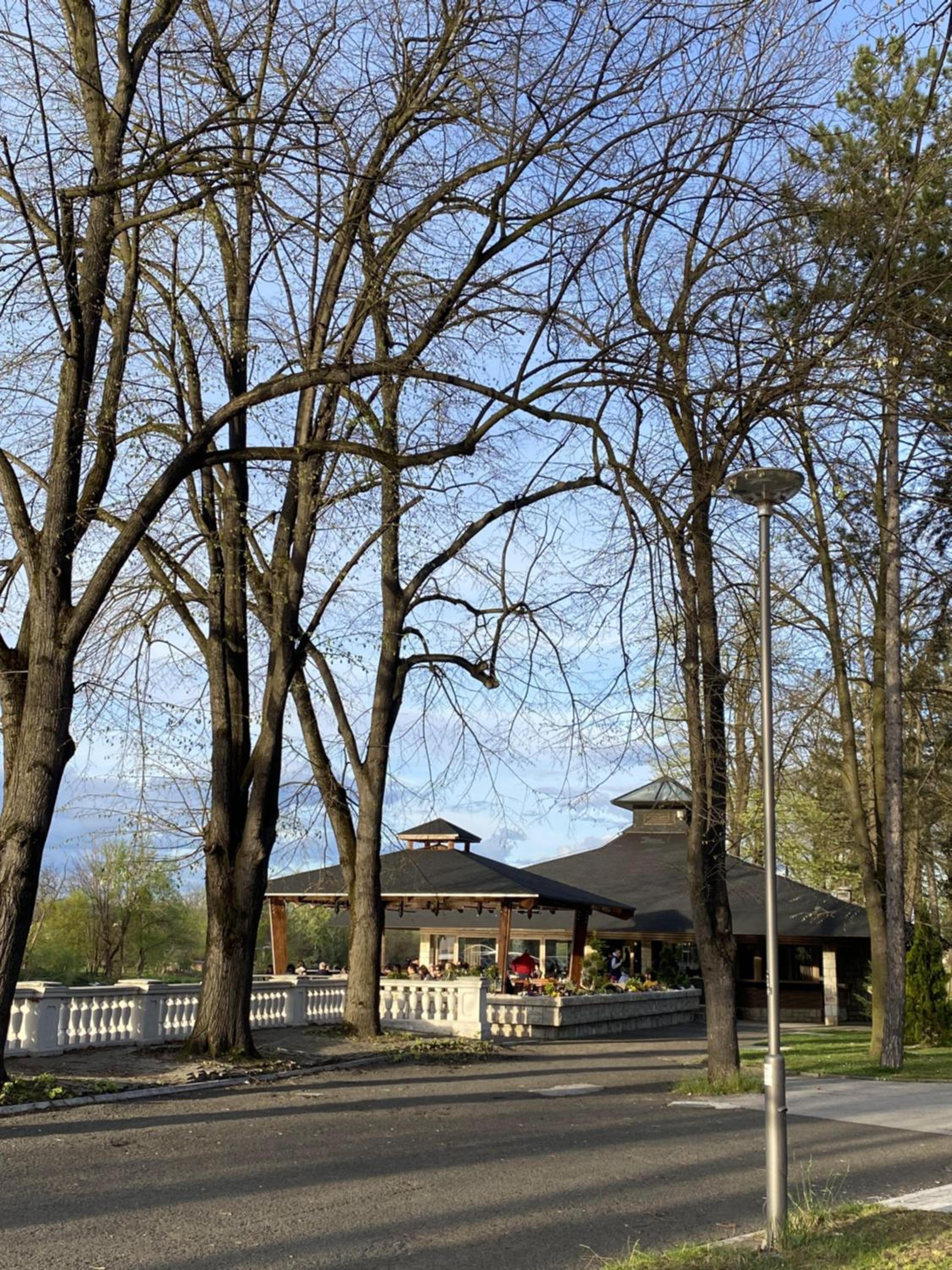 Photo 45