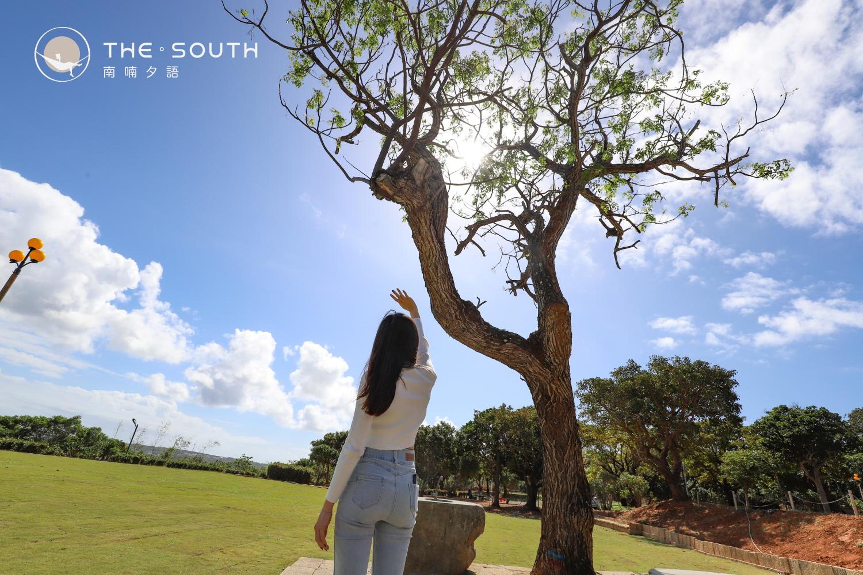 The South-Dawn view 4